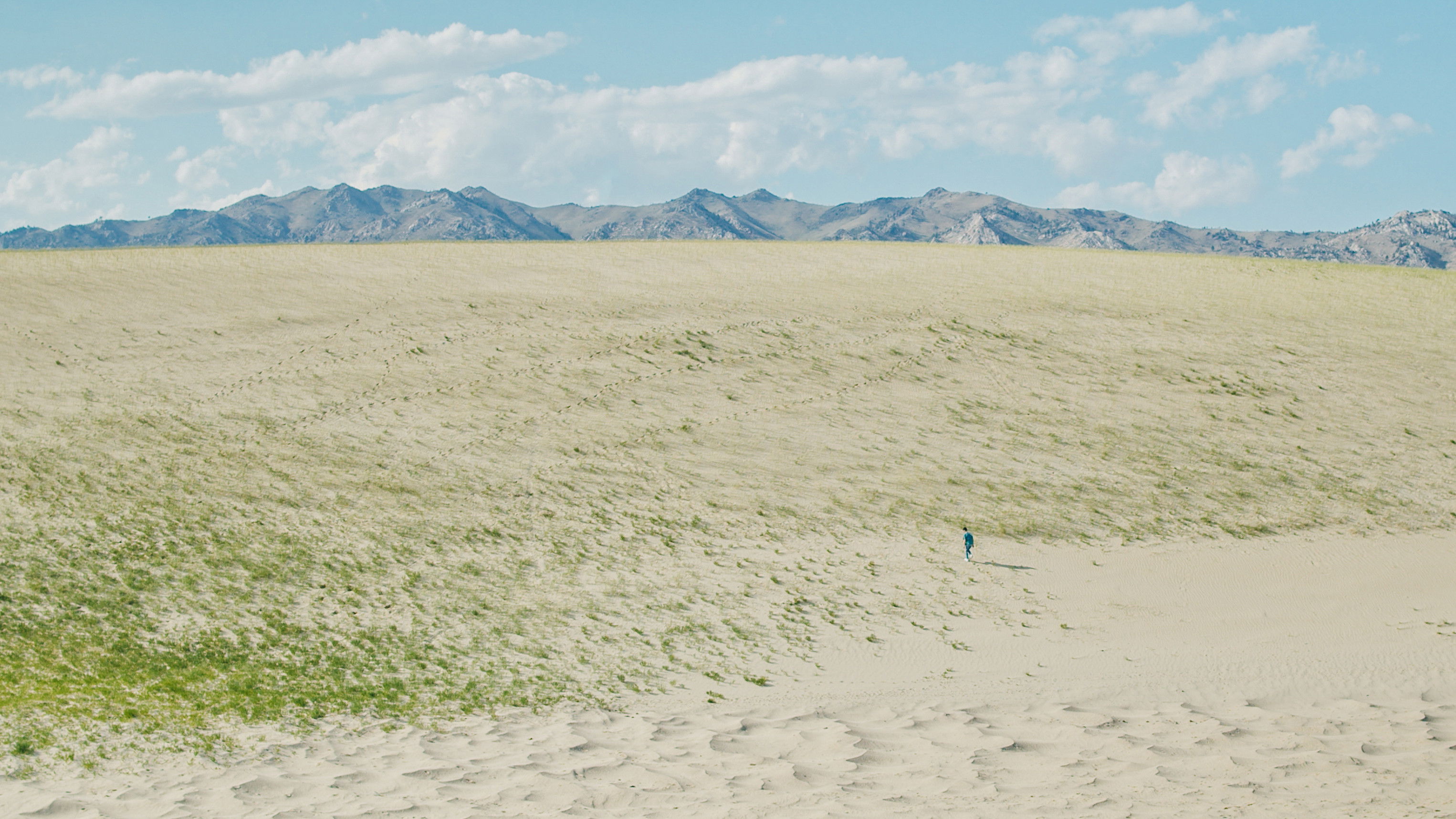 Empty Canvas Background