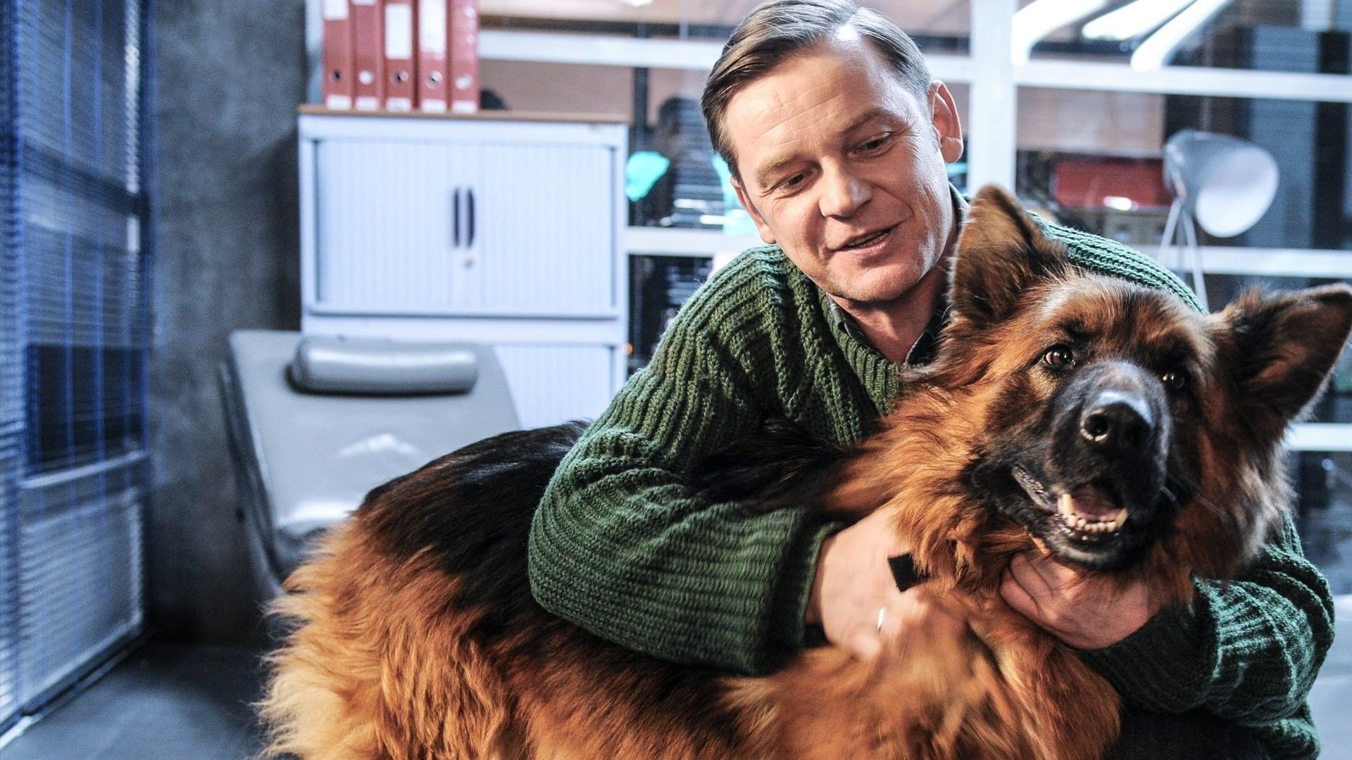 Komisarz Alex Background