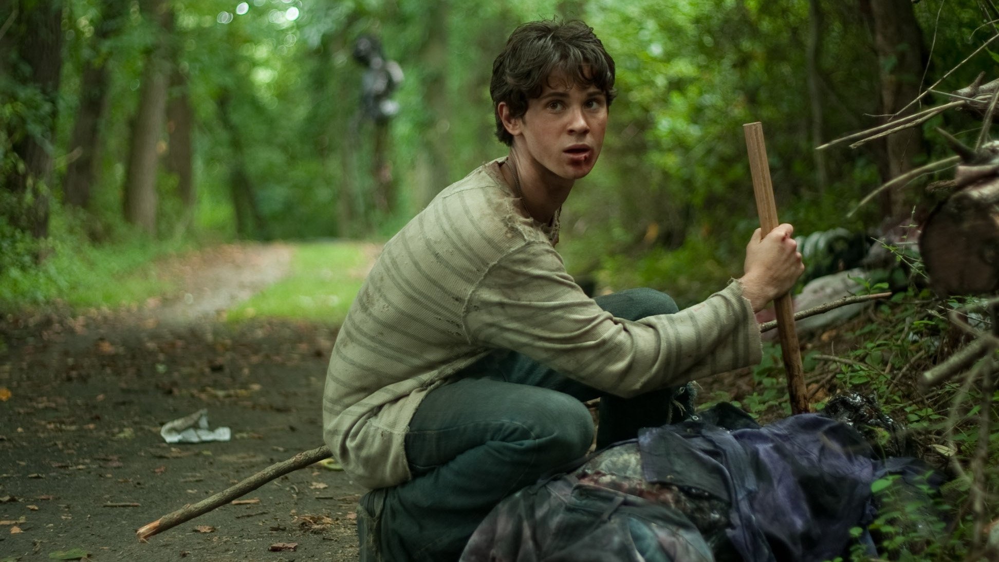 Stake Land Background