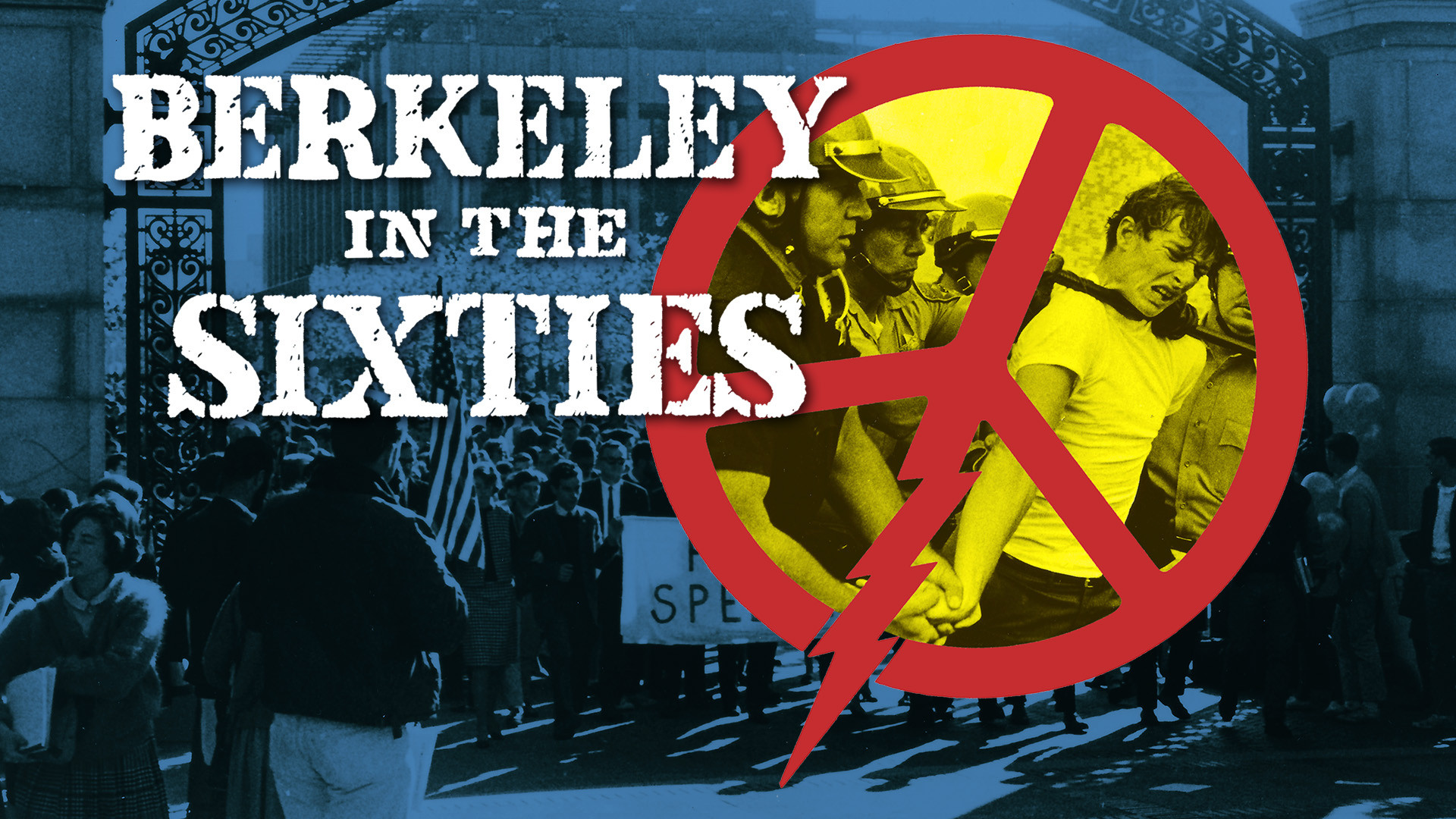 Berkeley in the Sixties Background