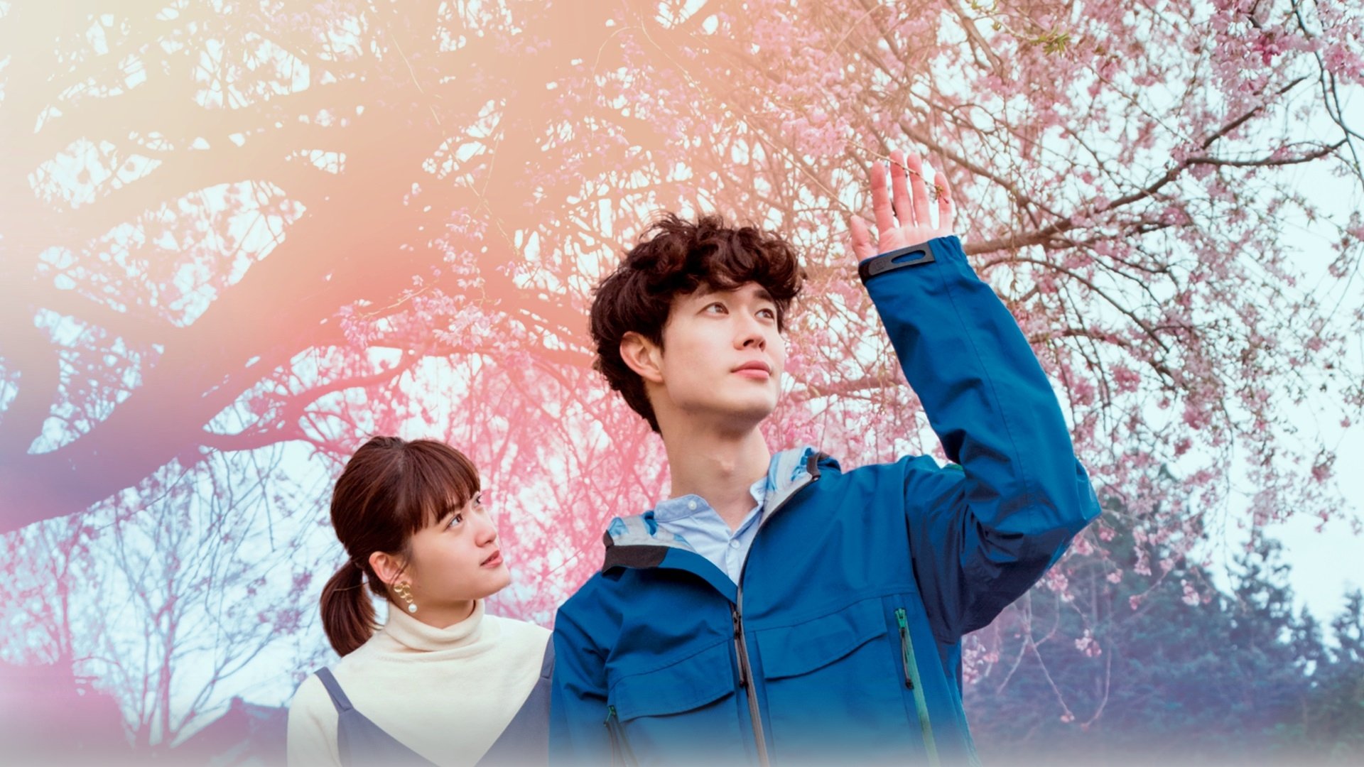 Spring in Between Background