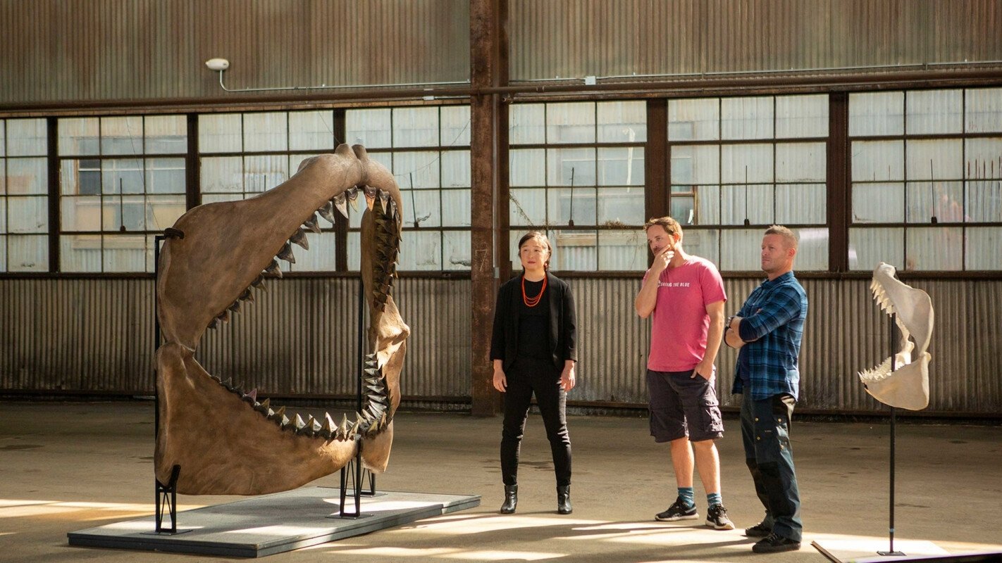 Jaws vs. the Meg Background