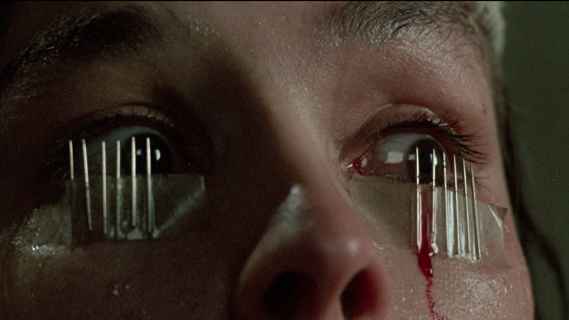 Dario Argento: An Eye for Horror Background