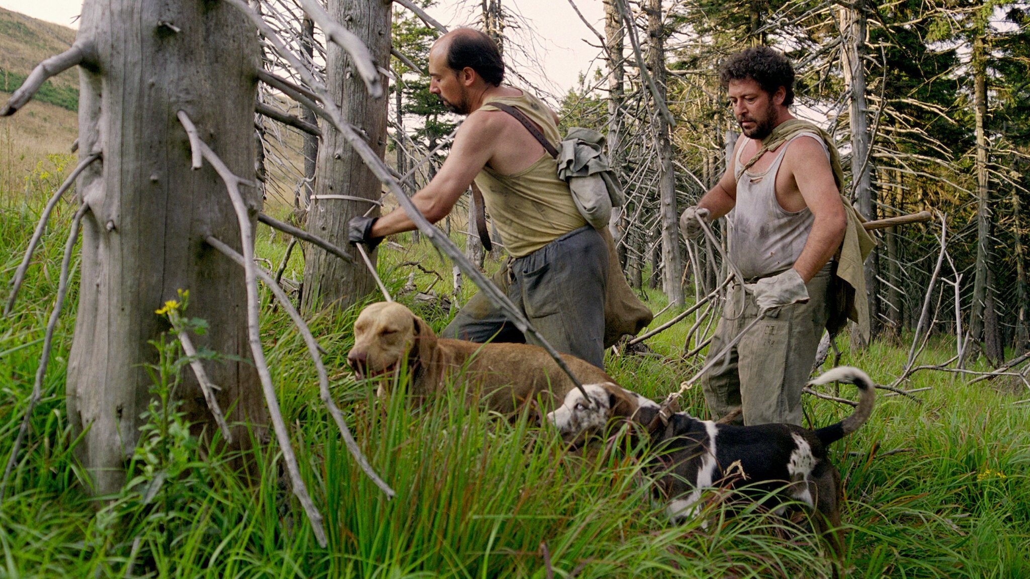 Vaterland: A Hunting Logbook Background