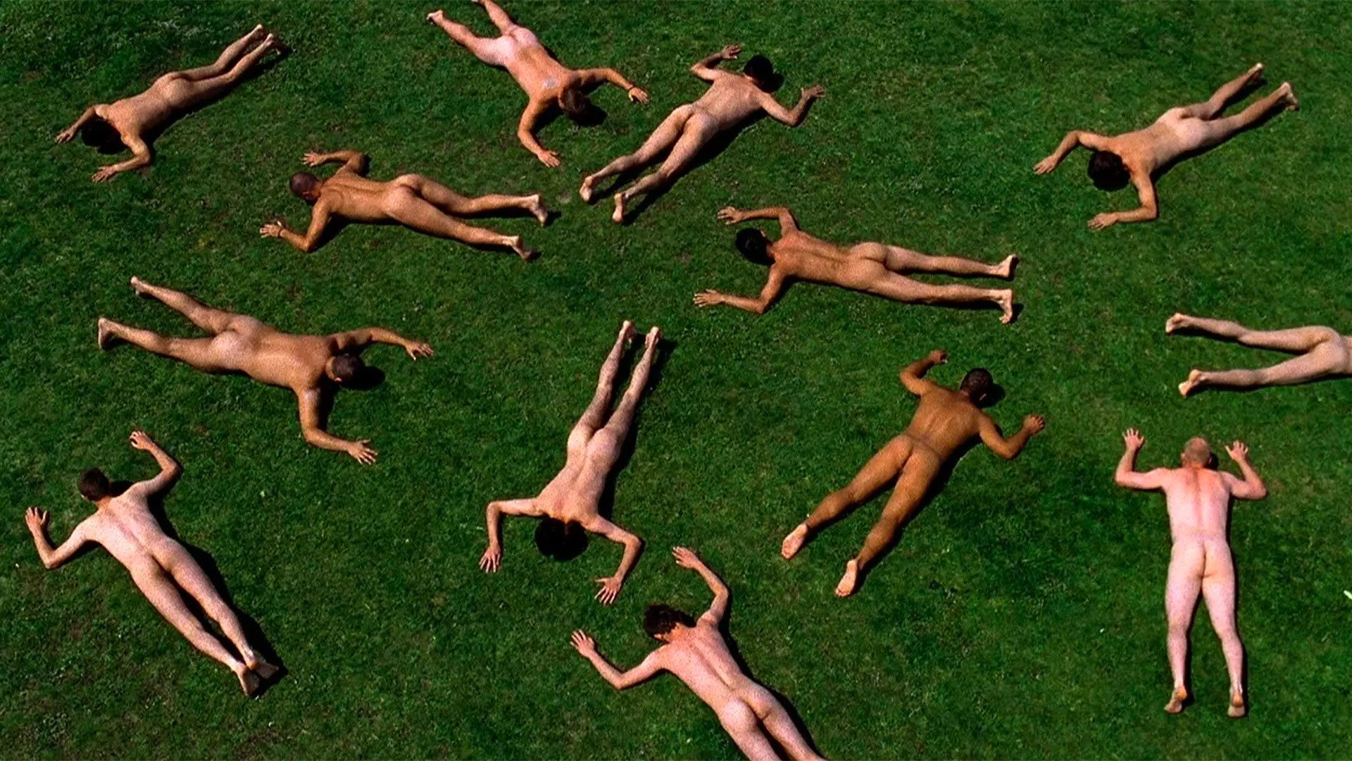 Destricted Background