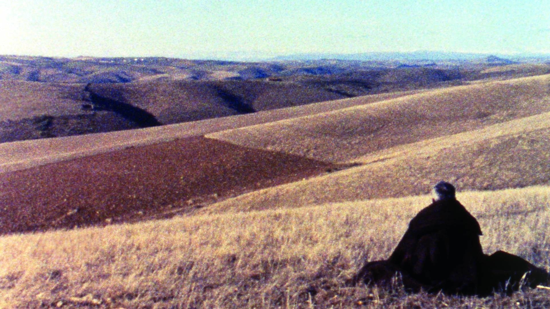 Trás-os-Montes Background