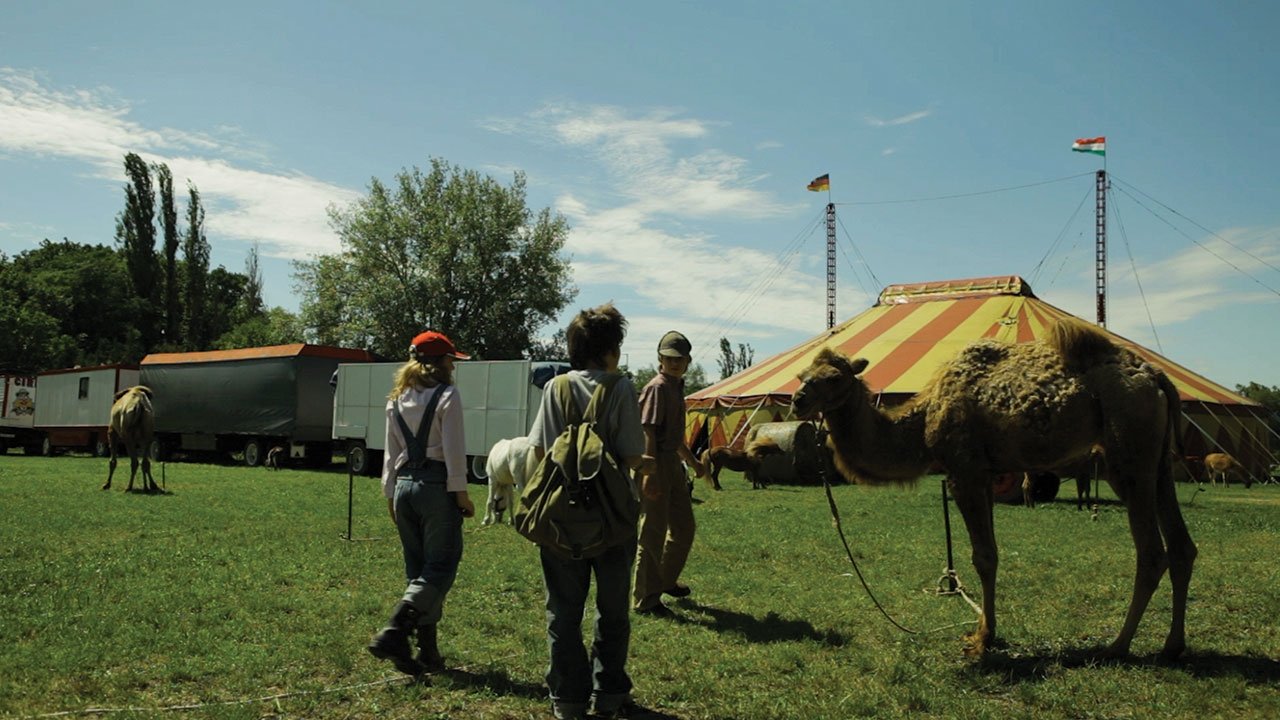 In the Name of Sherlock Holmes Background