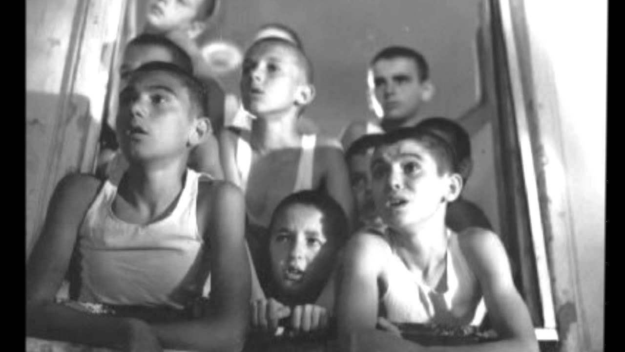 Red Poppies on the Wall Background