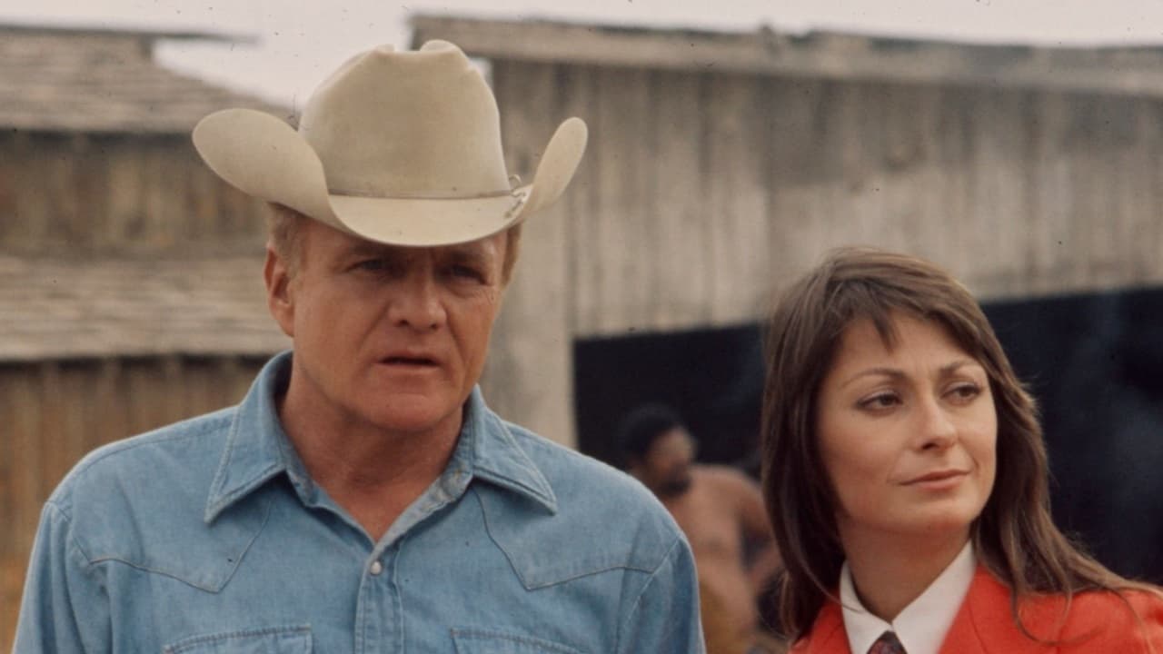 Second Chance Background