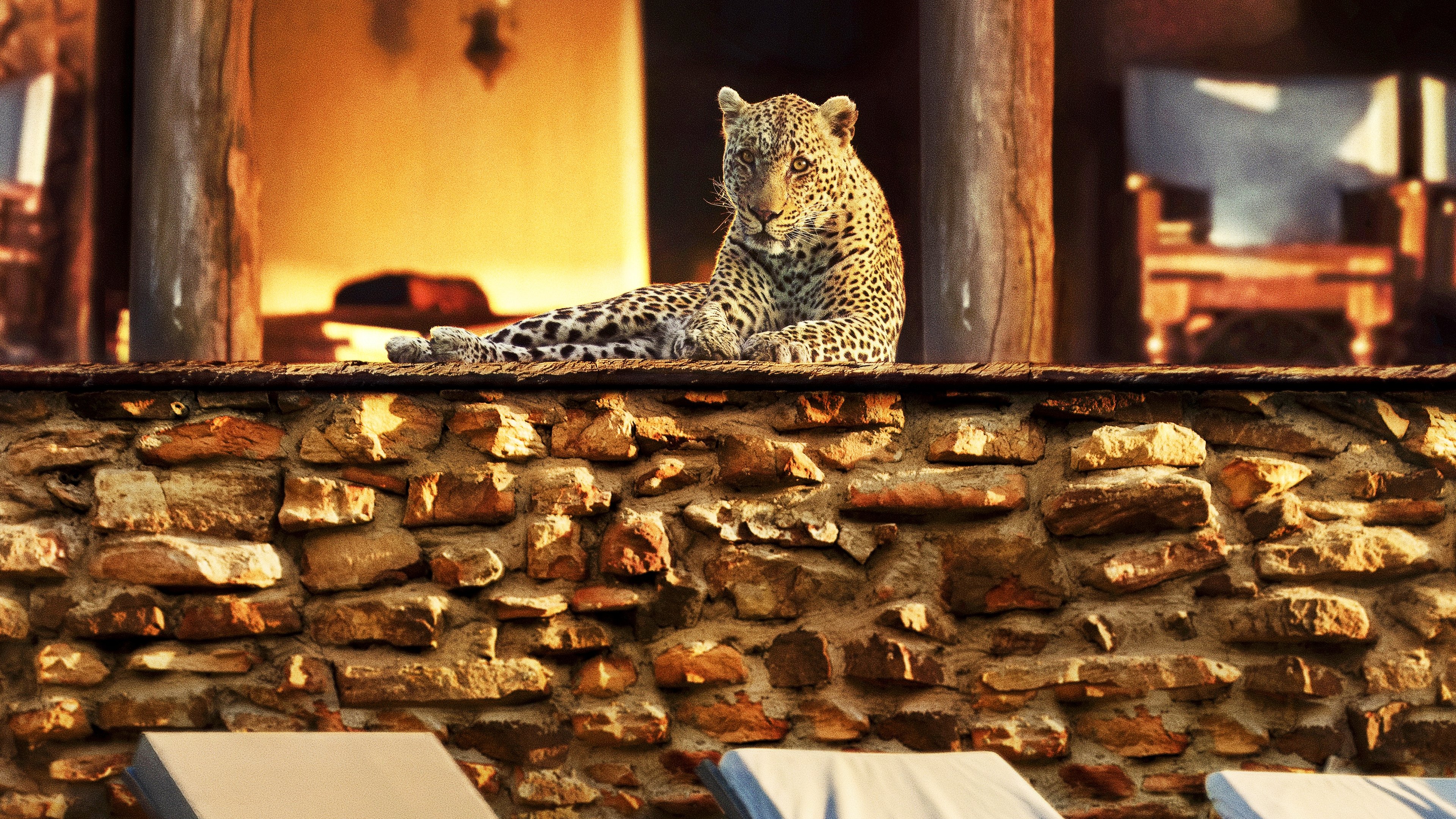 The Year Earth Changed Background