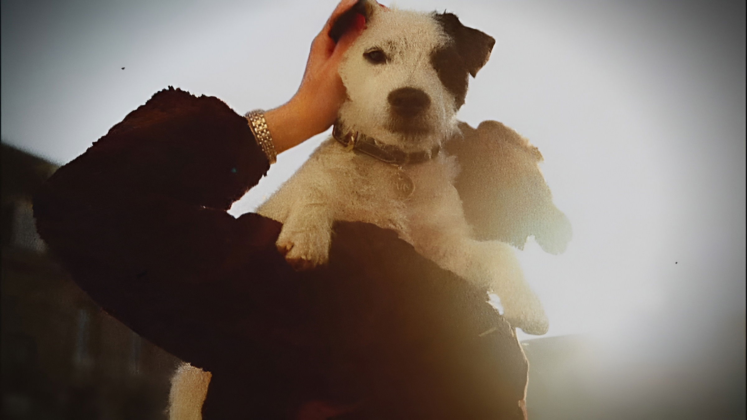 Double Cross: The True Story of the D-day Spies Background