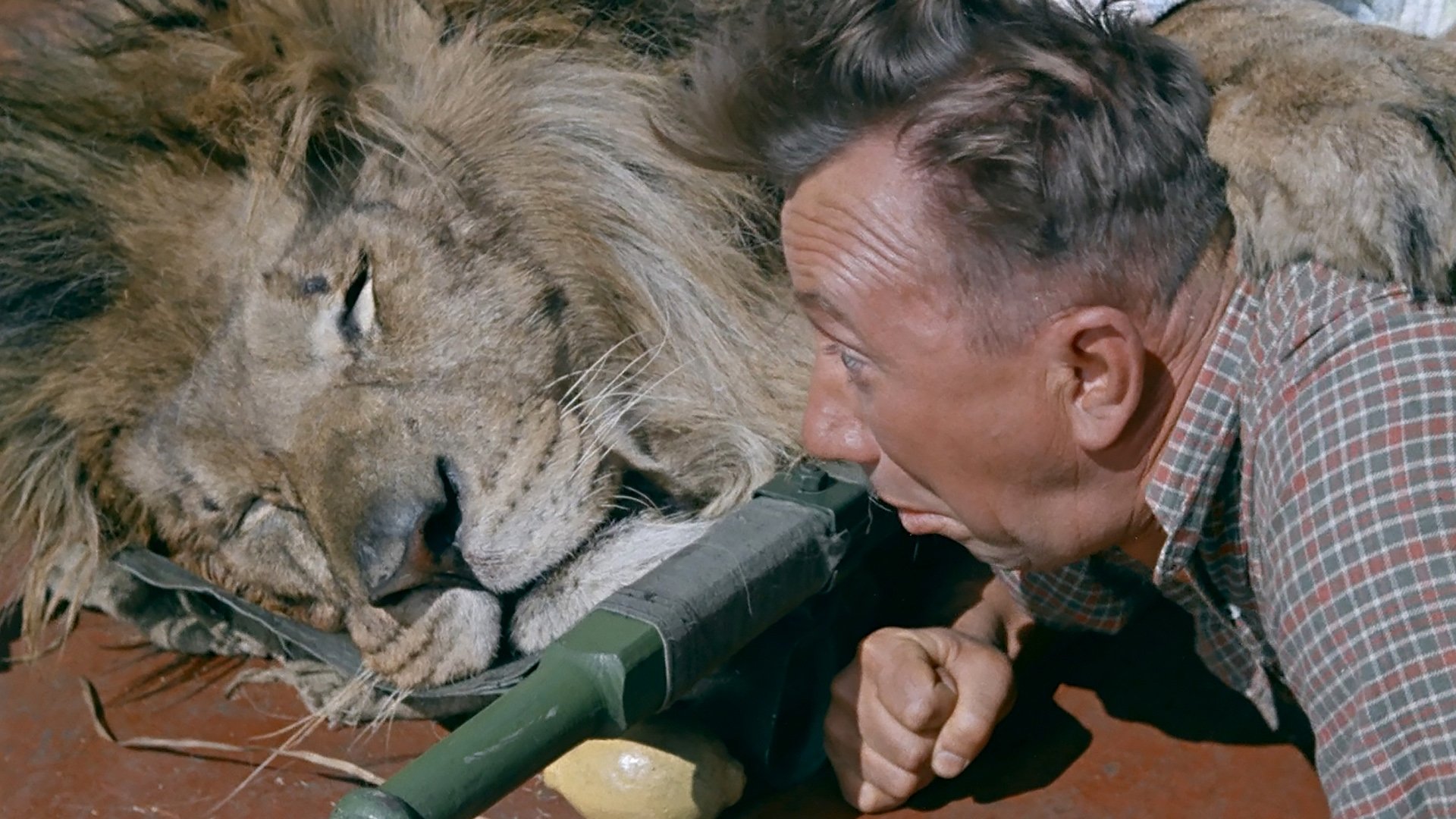 Striped Trip Background