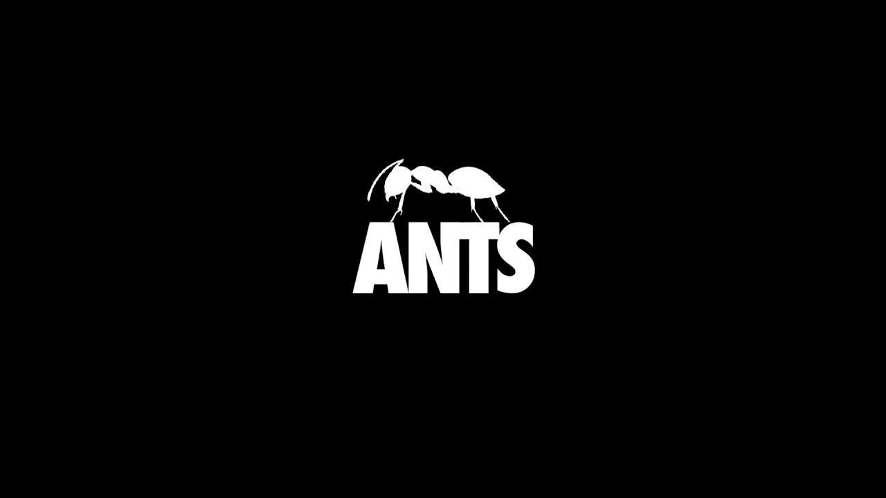 City Of Ants Background