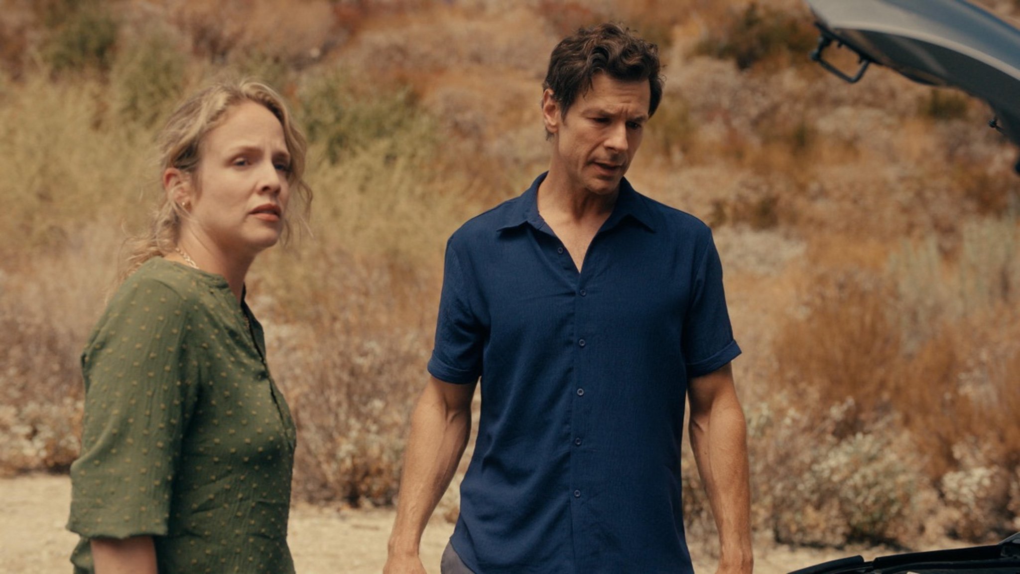 Vanished in Death Valley Background