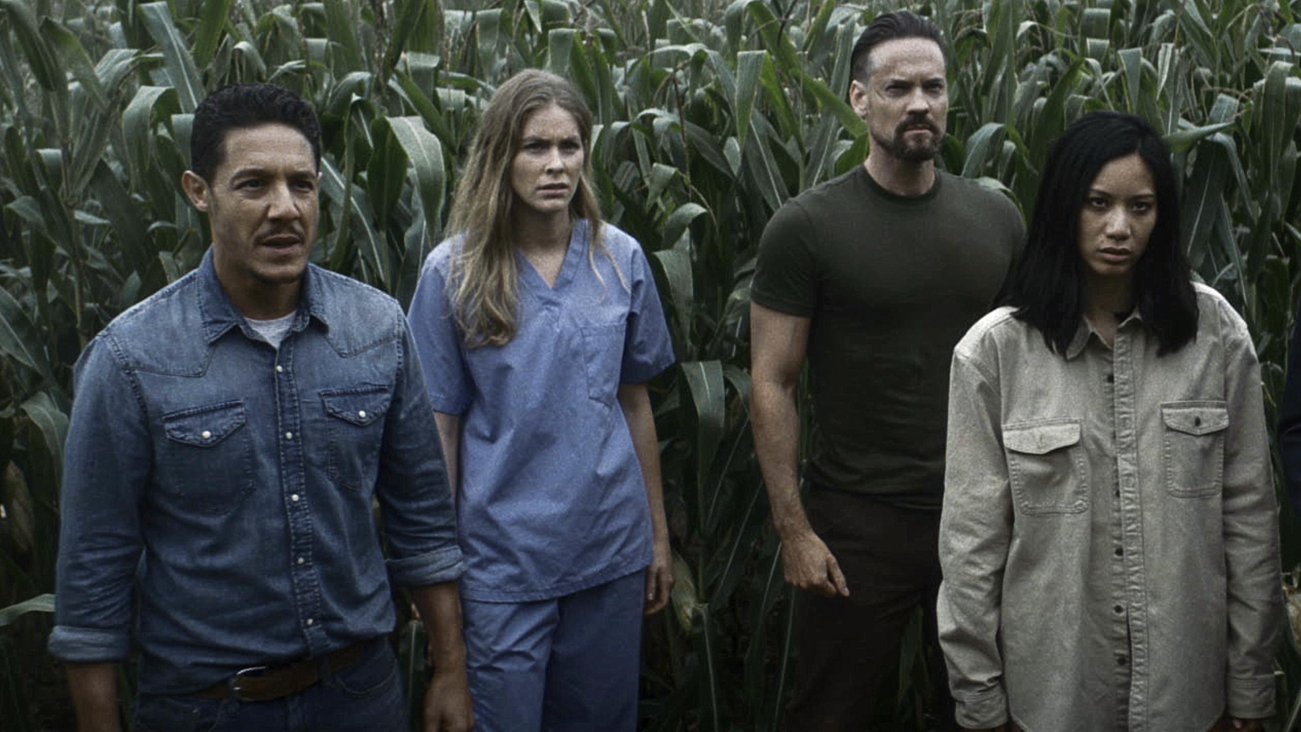 Escape the Field Background