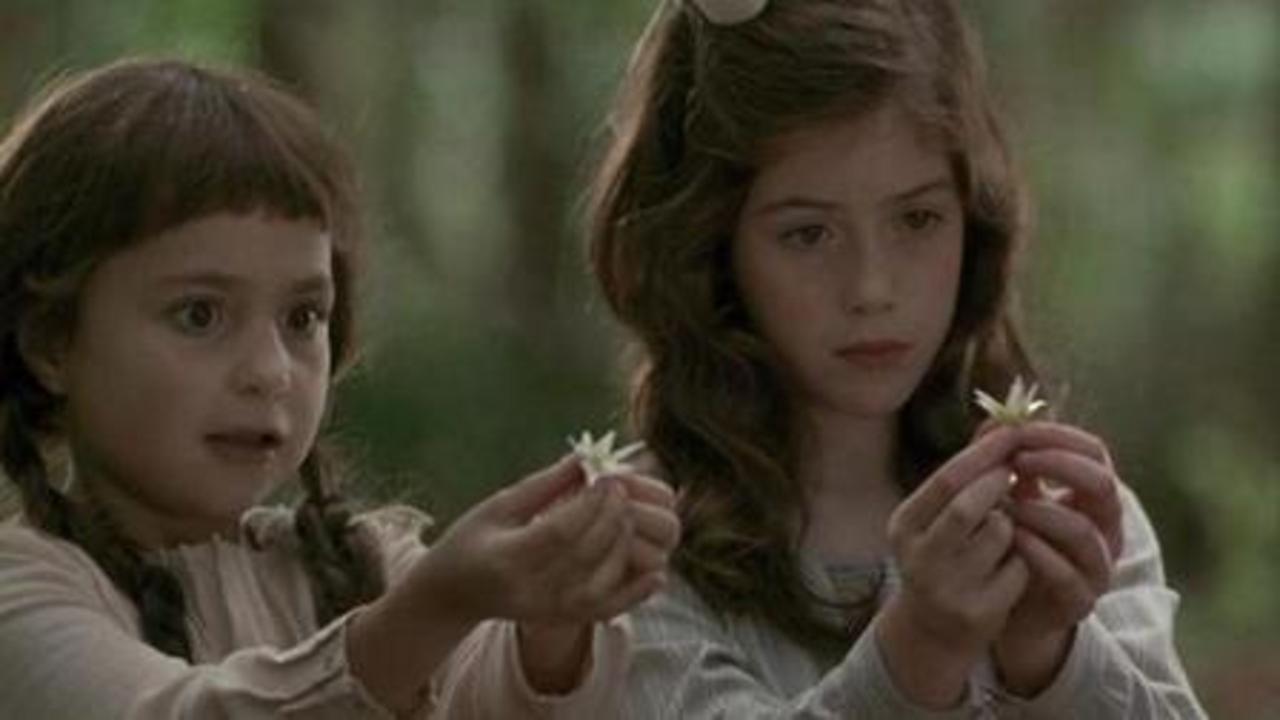 Photographing Fairies Background