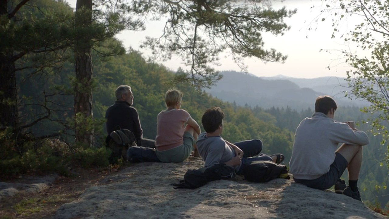 A Fish Swimming Upside Down Background