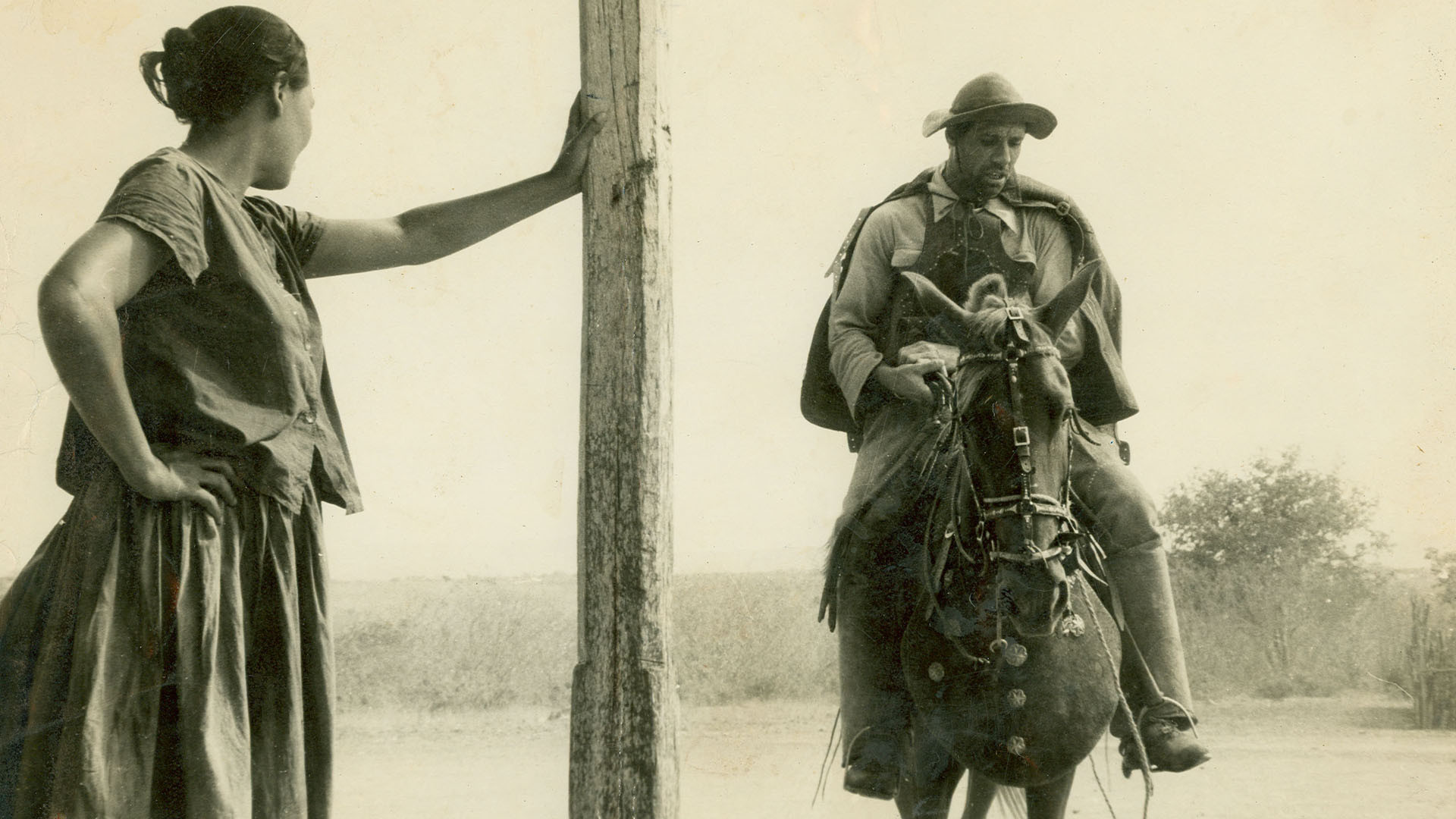 Barren Lives Background