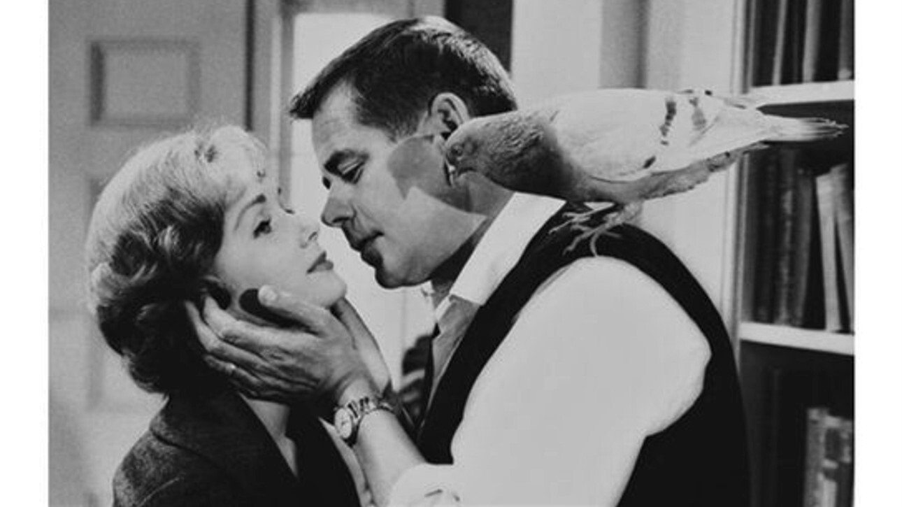 The Gazebo Background