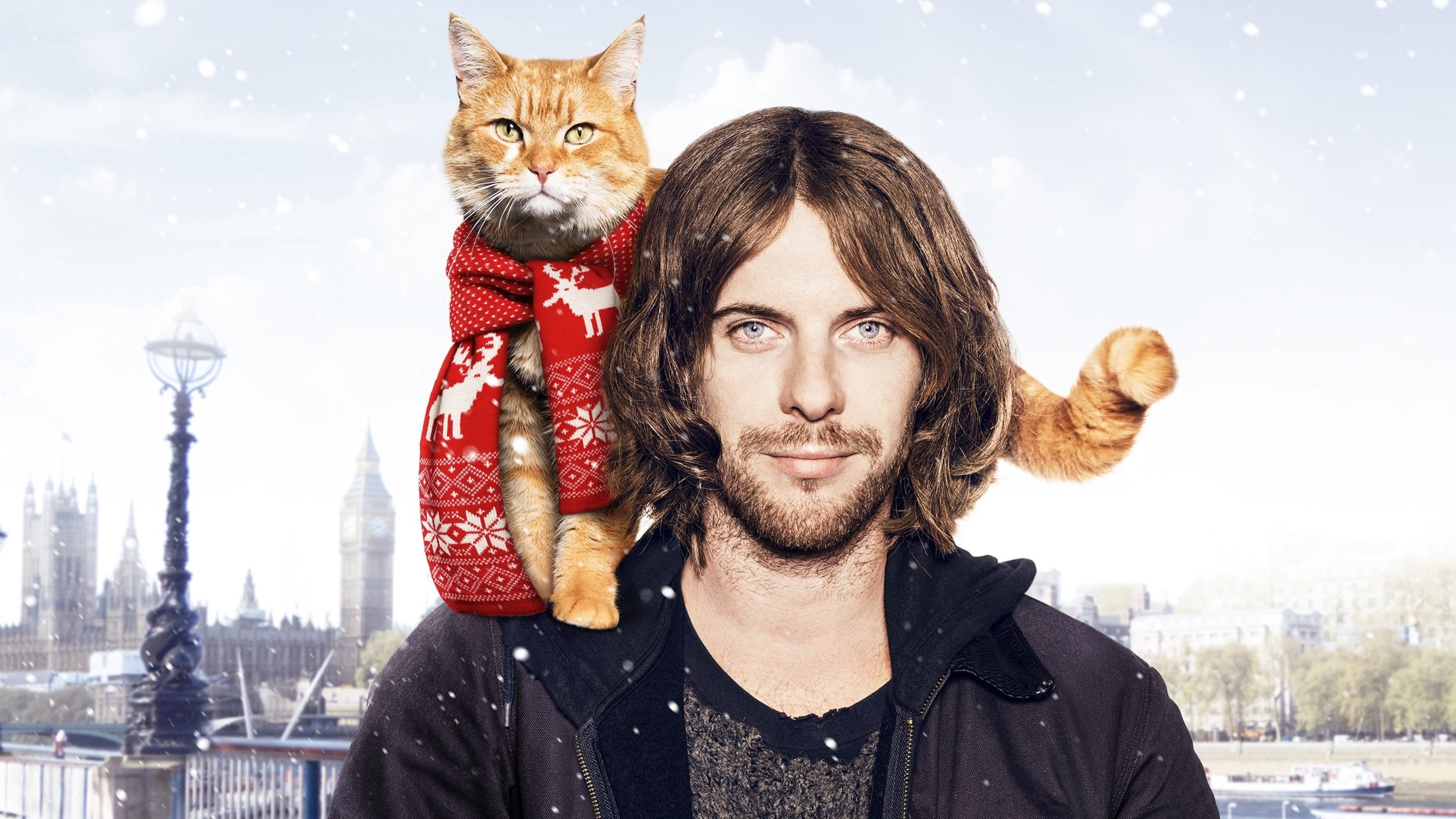 A Street Cat Named Bob Background