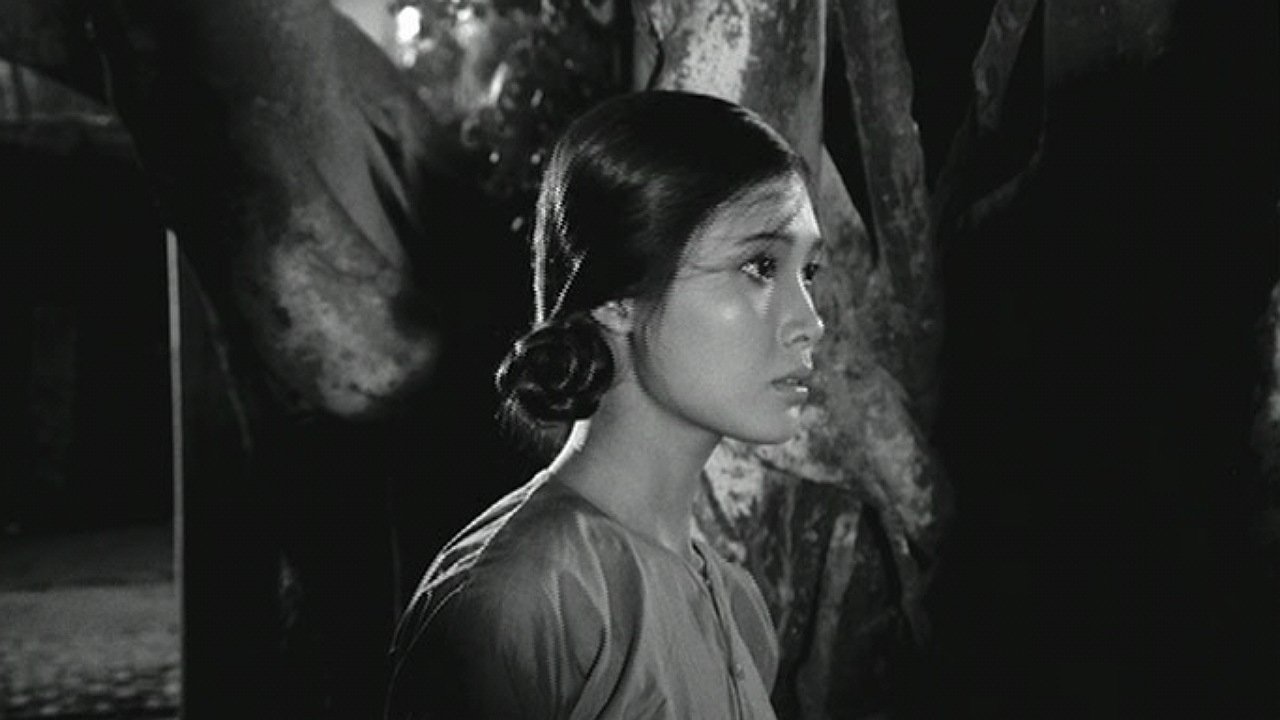 When the Tenth Month Comes Background