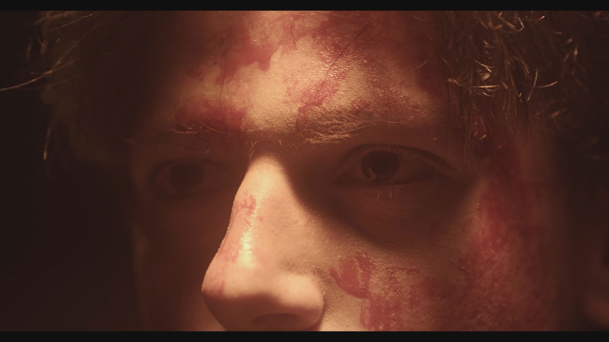 Te Veré Donde Los Árboles Background