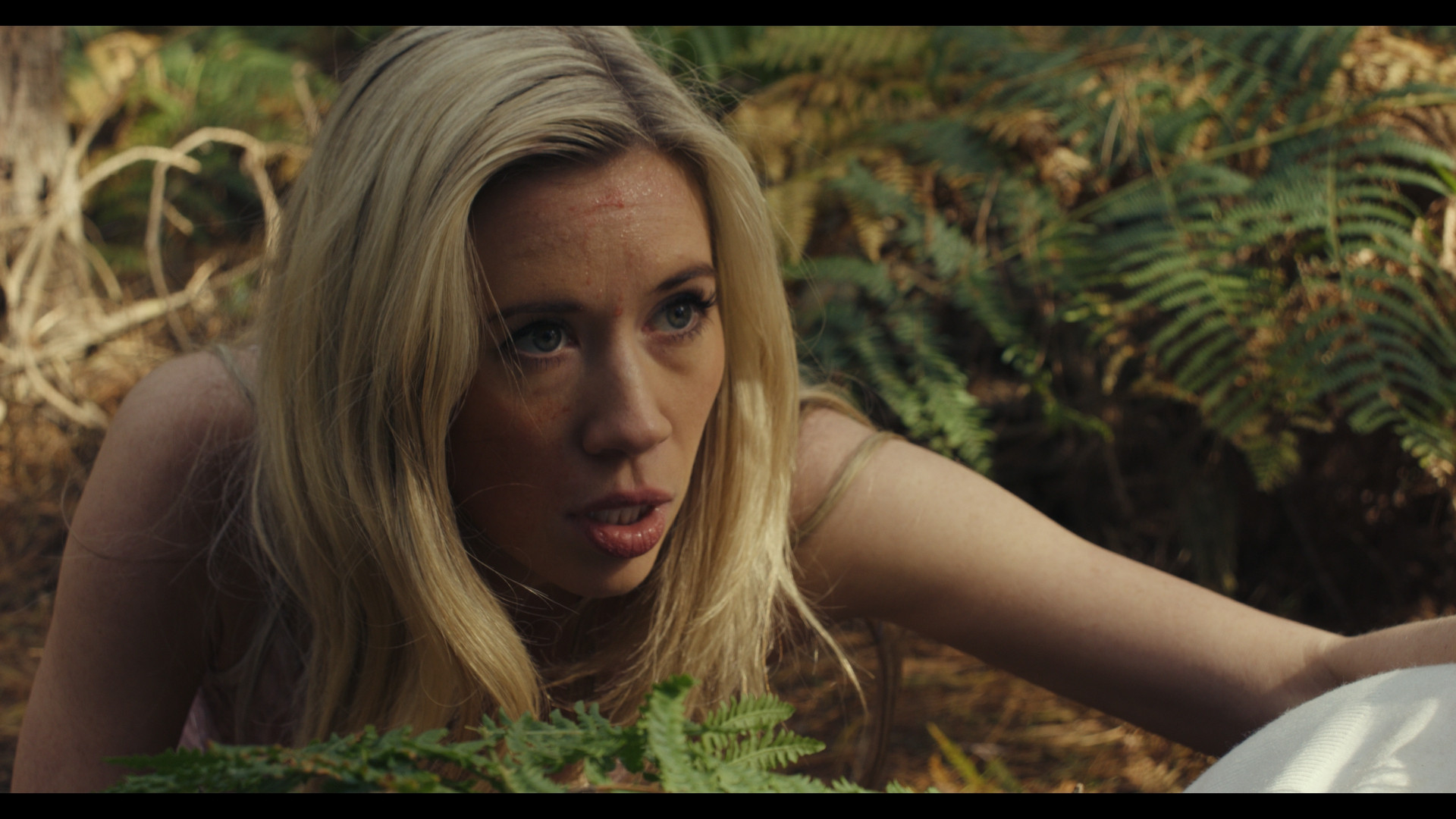 The Final Scream Background