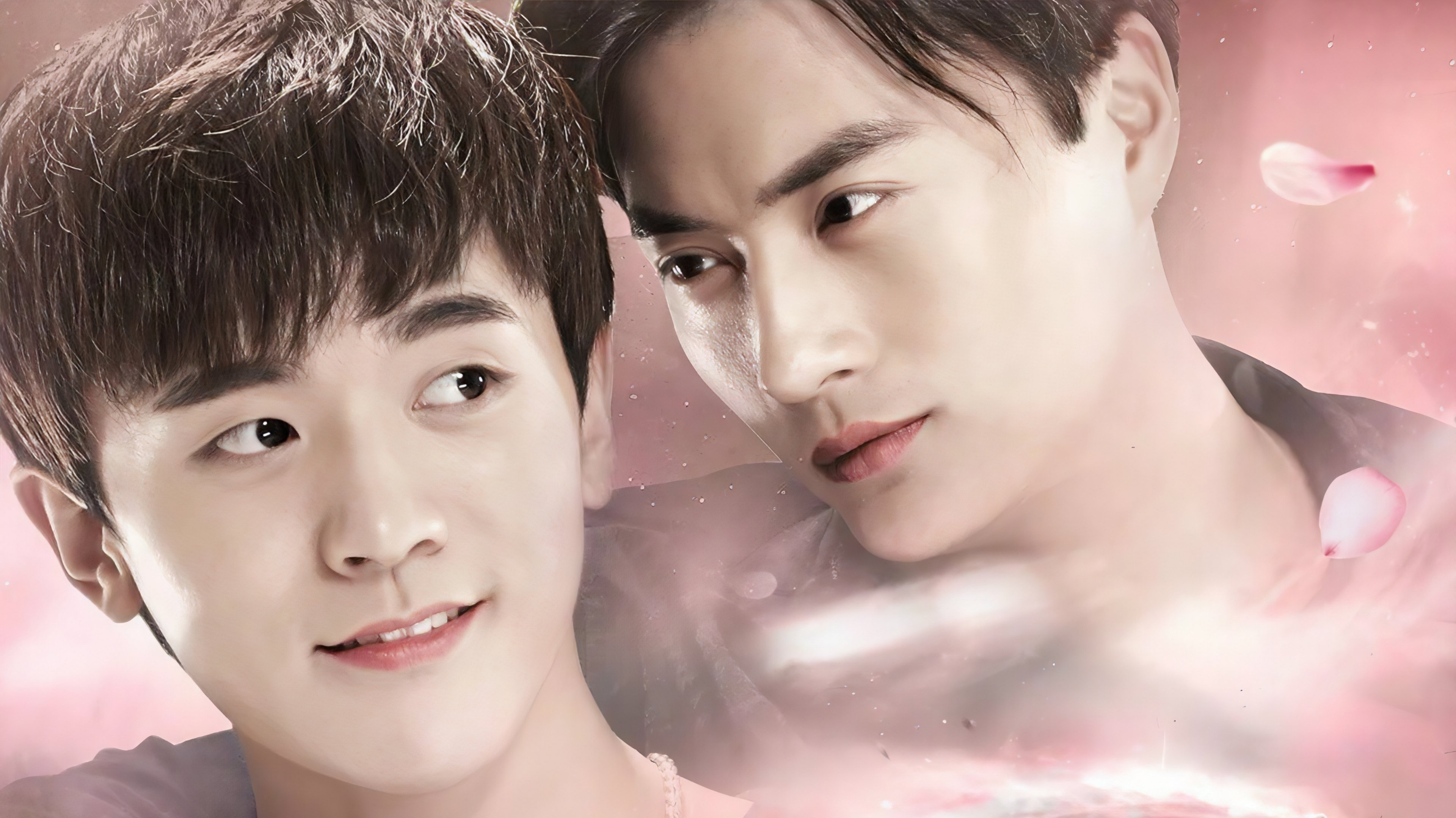 Bite Fight Background