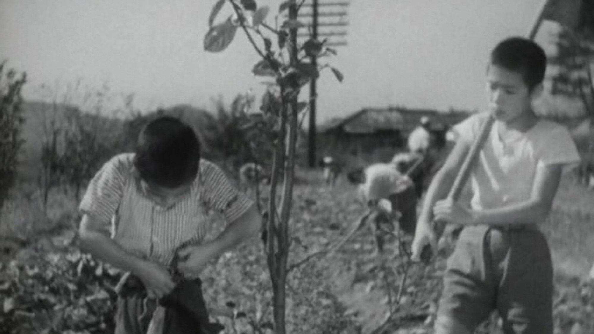 Introspection Tower Background