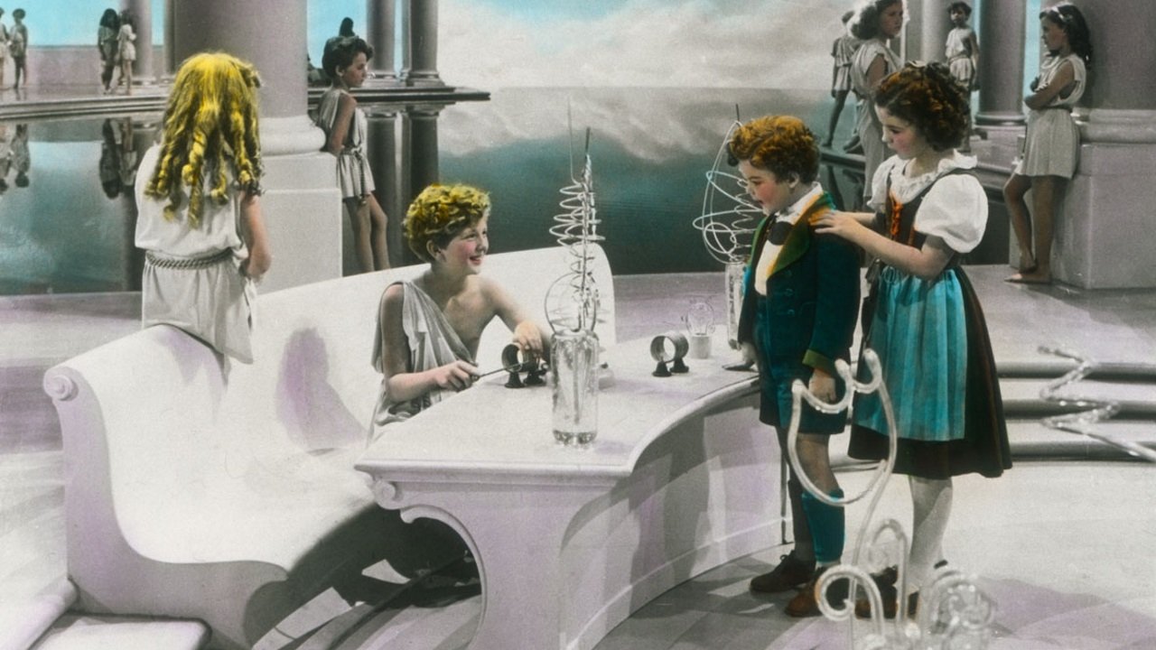 The Blue Bird Background