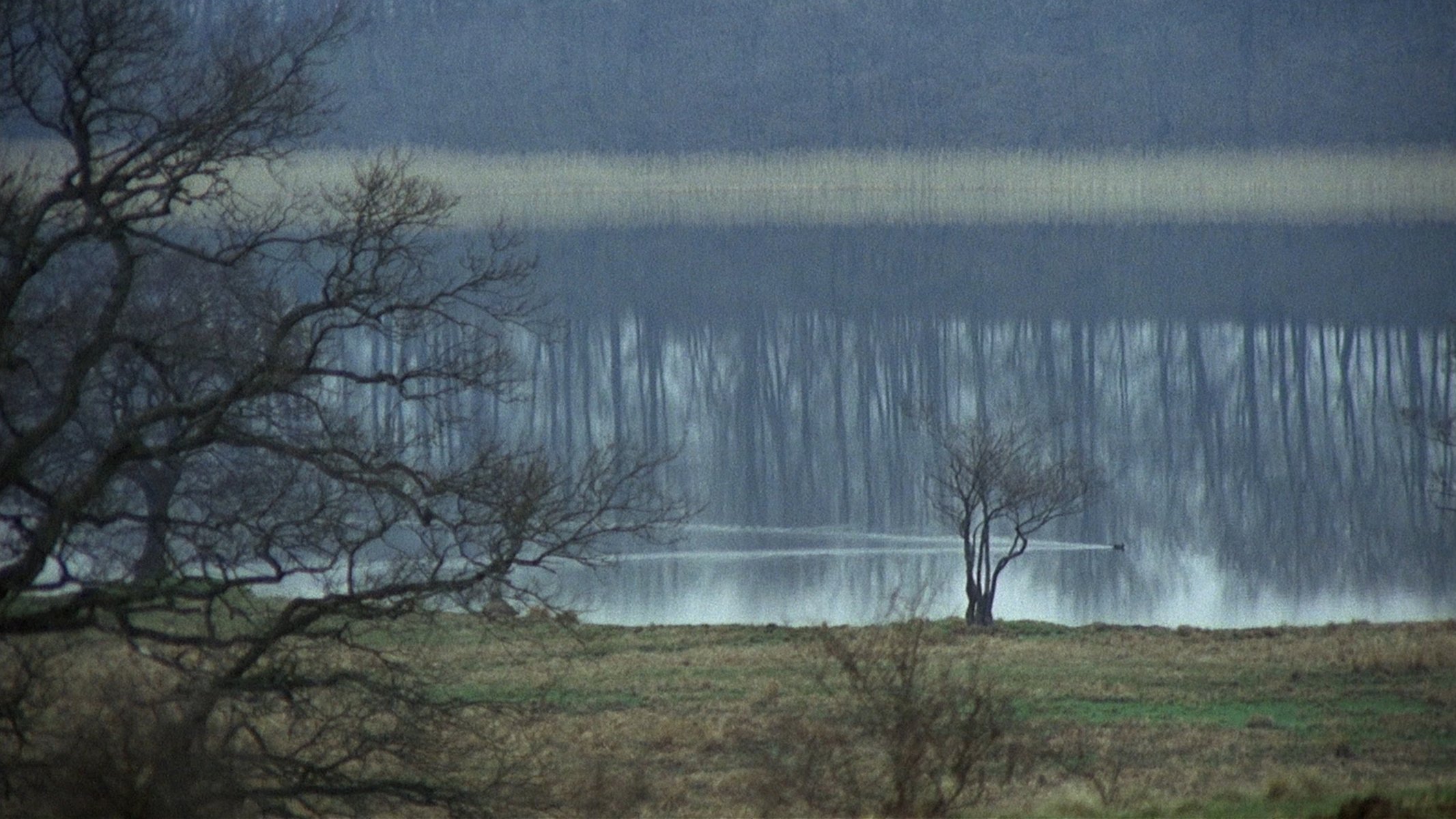 The New Land Background