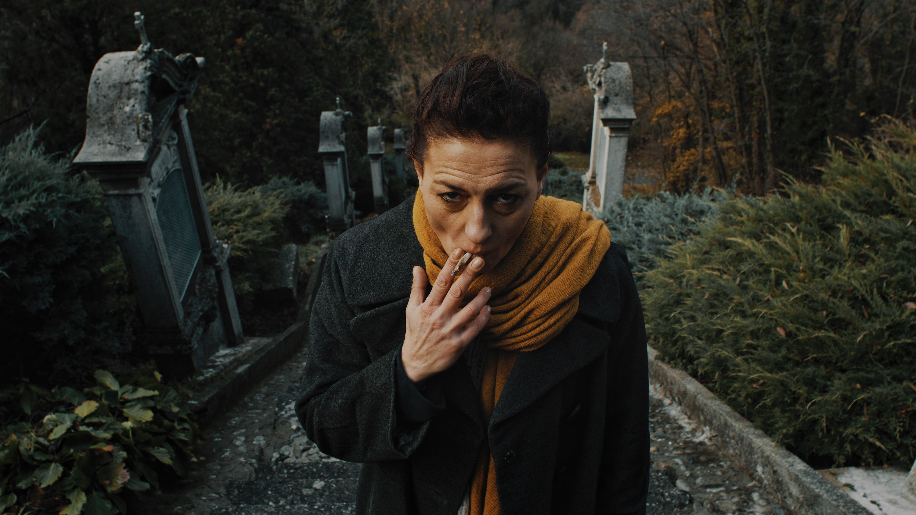 The Grand Bolero Background