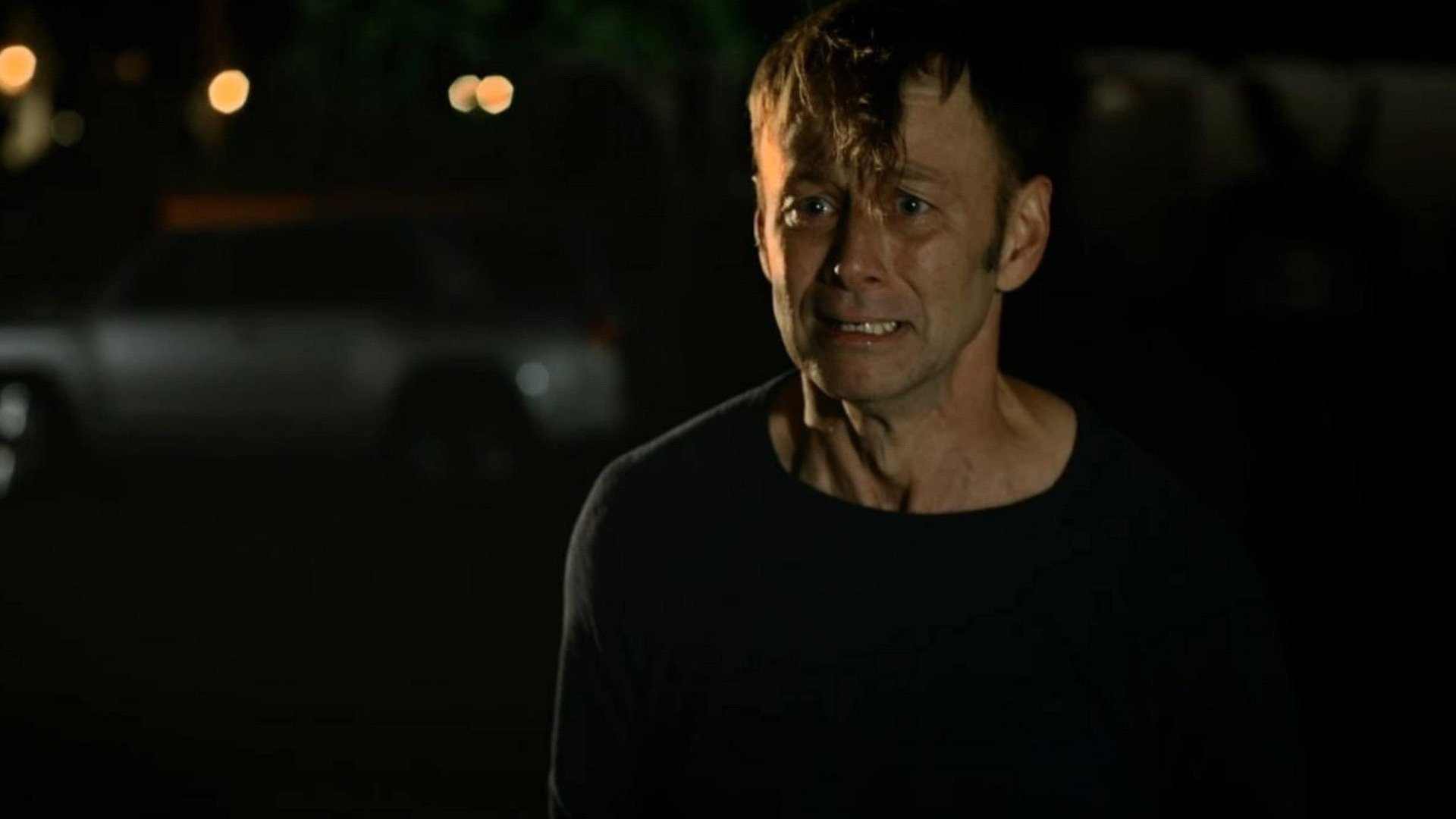 Trunkfish Background