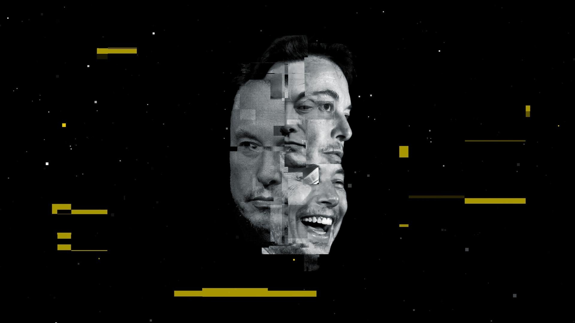 Die Elon-Musk-Story Background