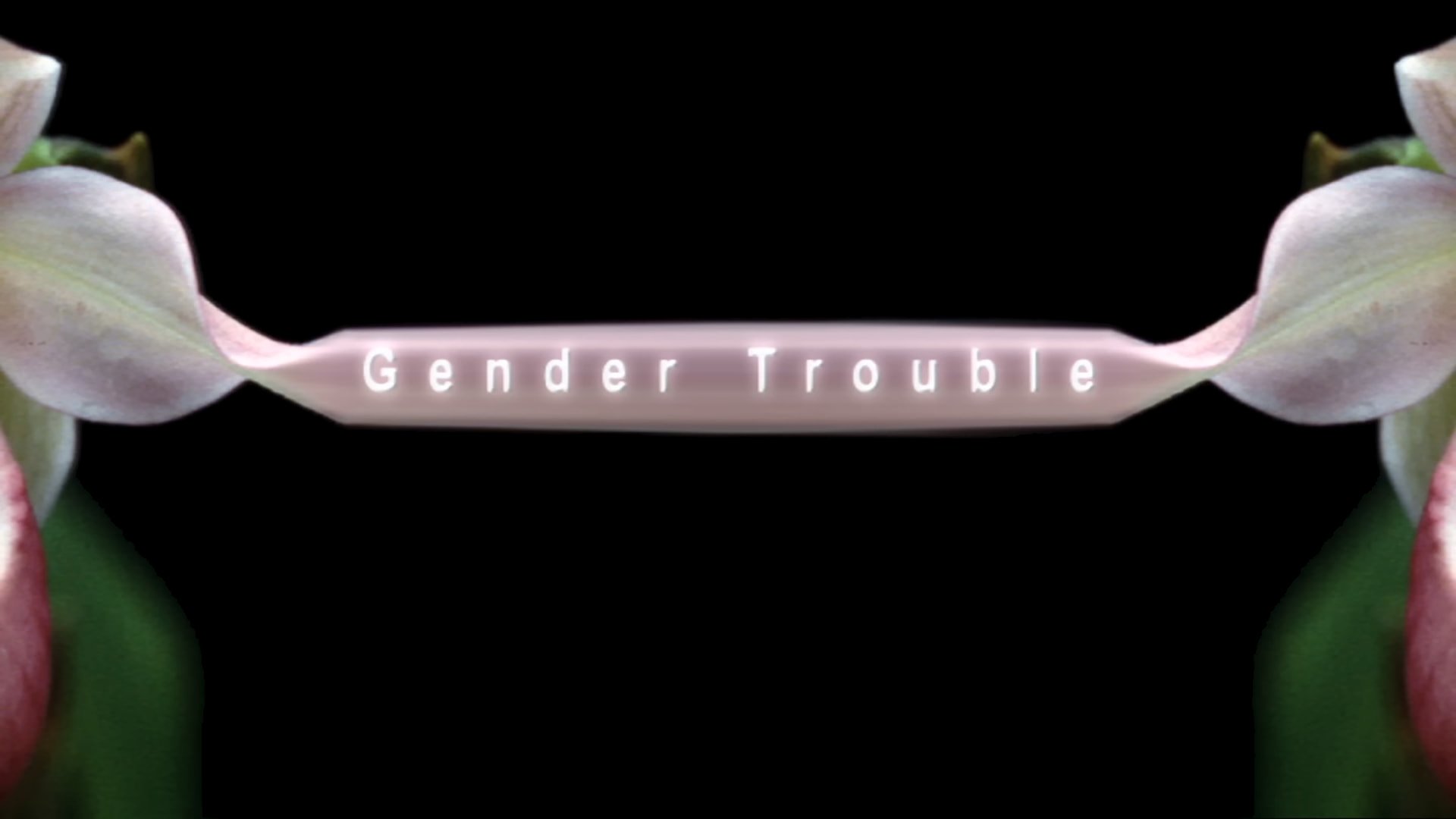 Gender Trouble Background