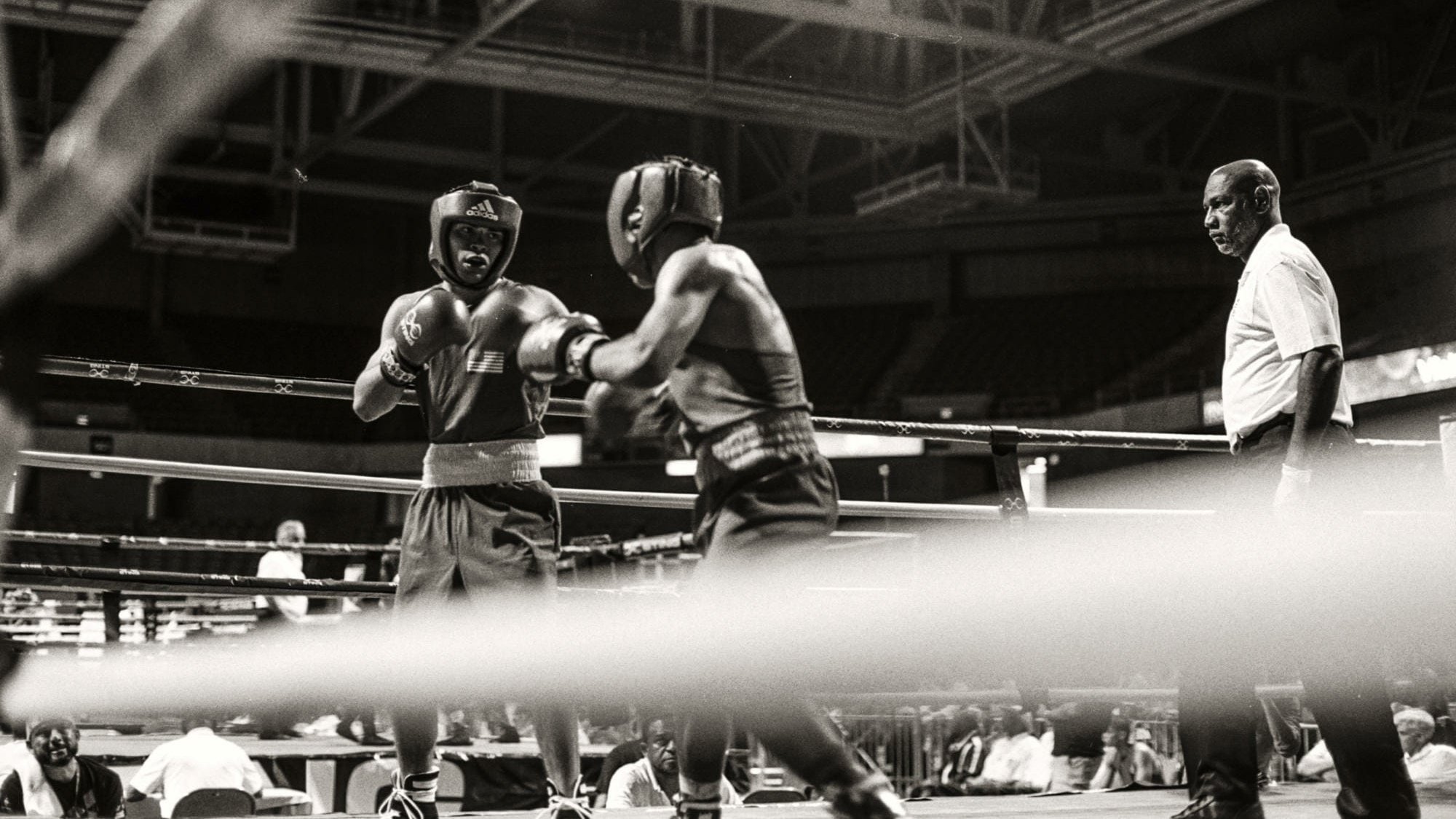 They Fight Background