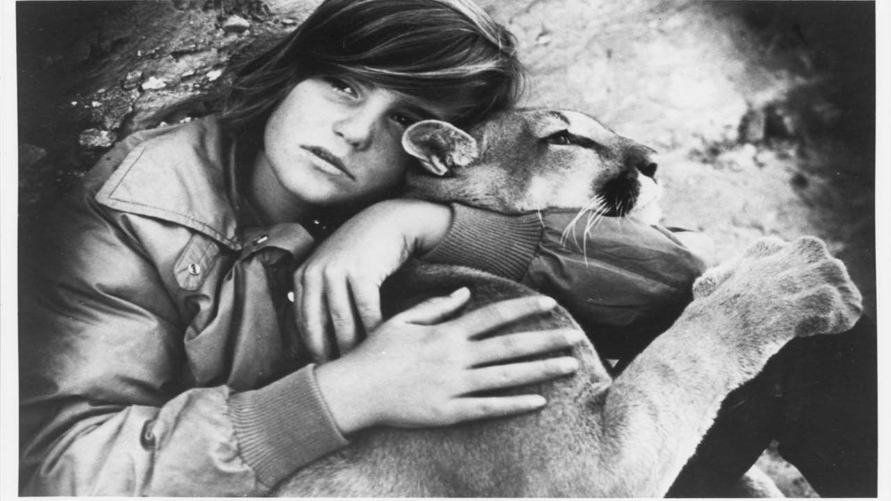 The Trap on Cougar Mountain Background