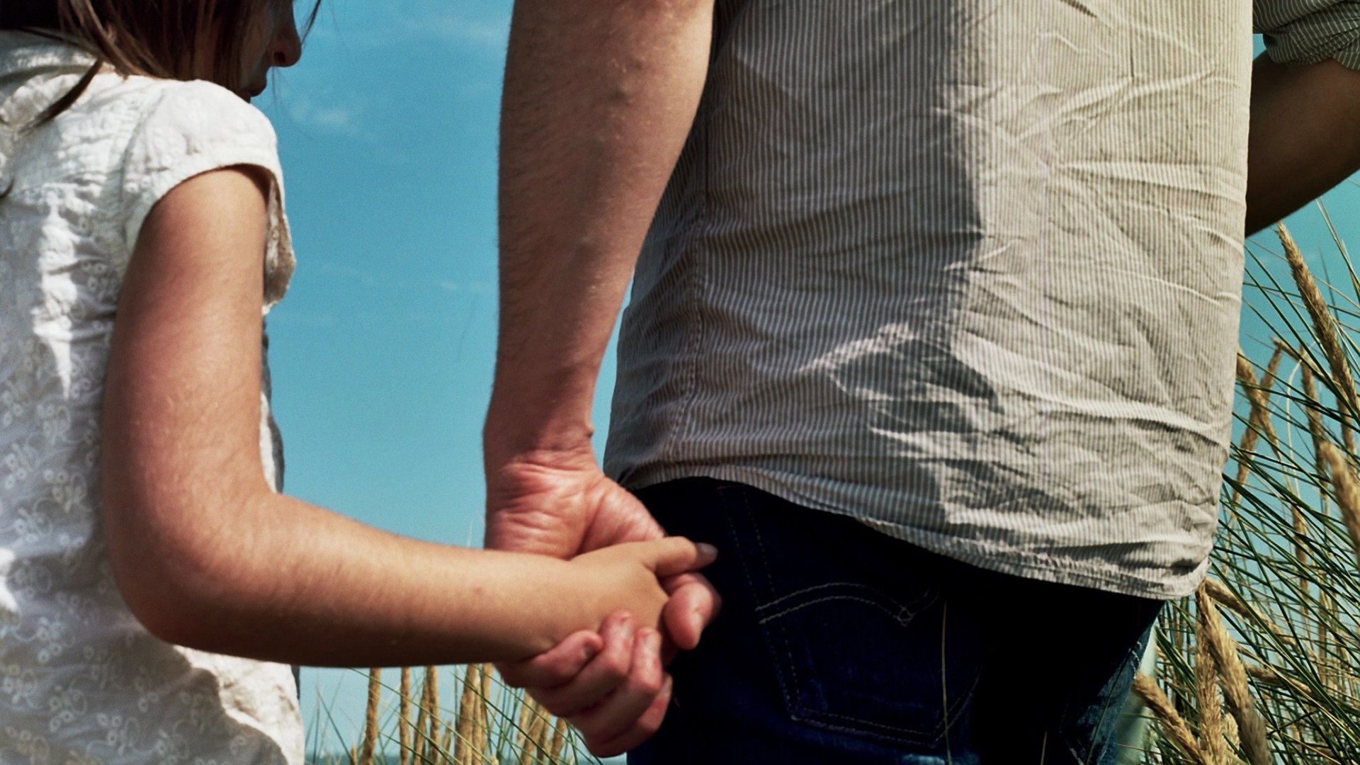 The Elephant and the Butterfly Background