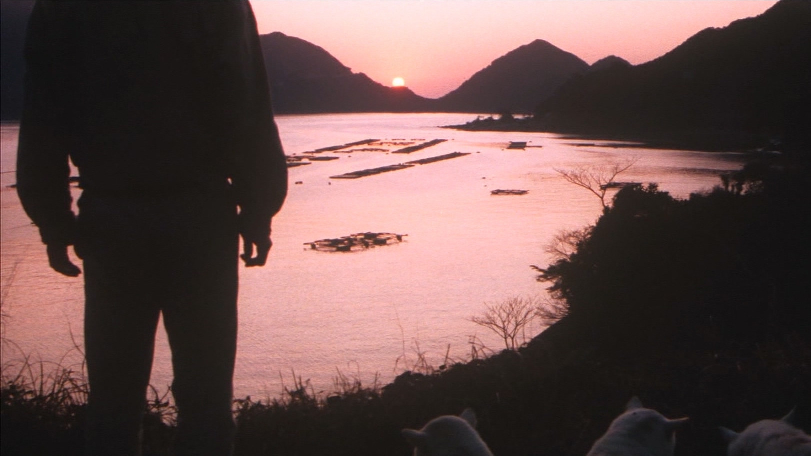 Fire Festival Background