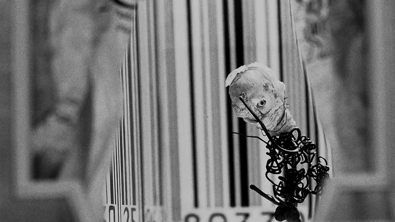 Rehearsals for Extinct Anatomies Background