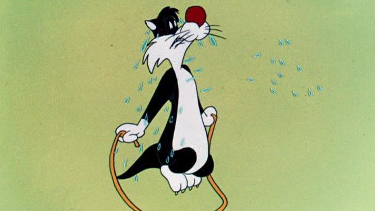 Hop, Look and Listen Background