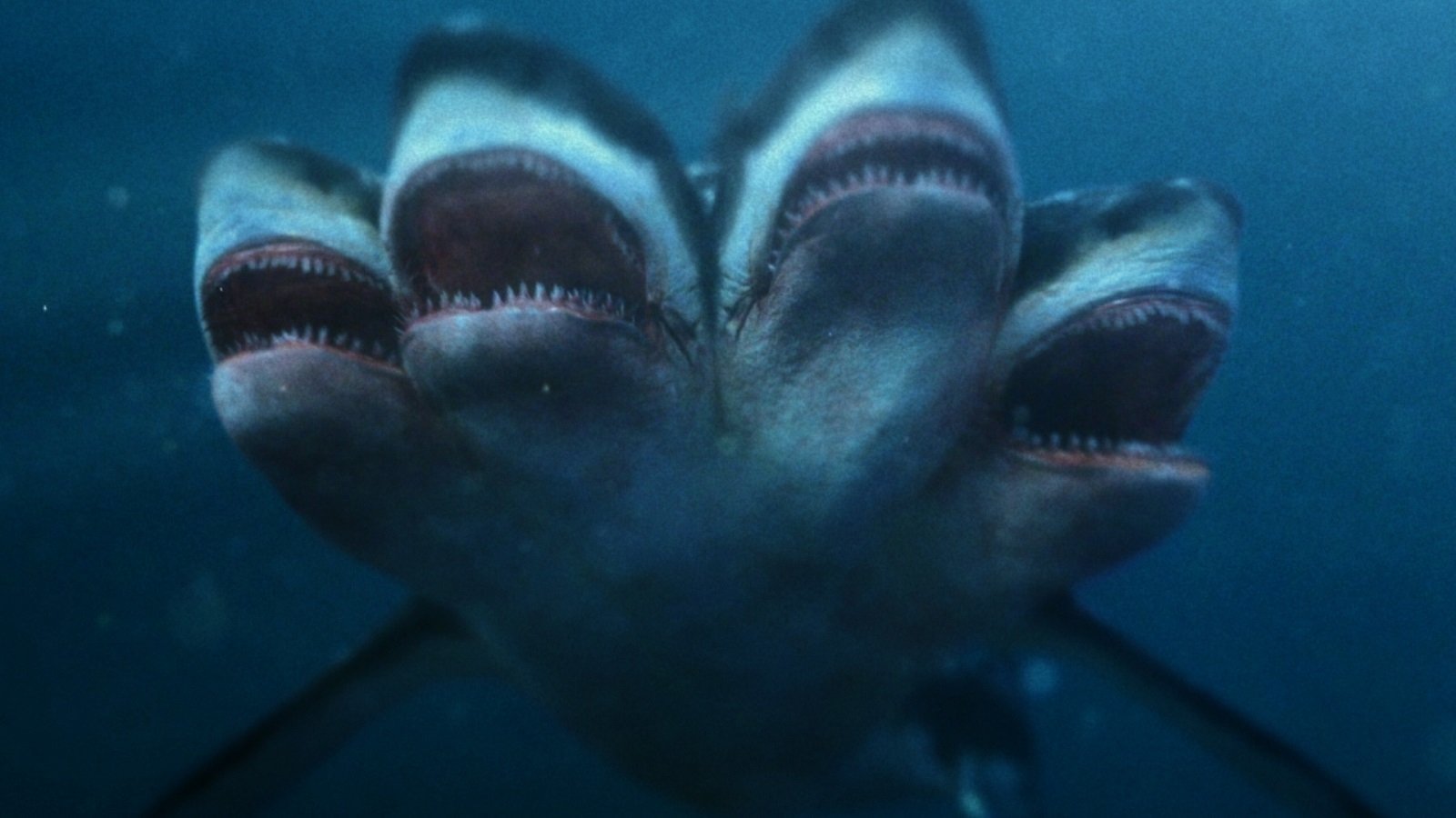 5-Headed Shark Attack Background