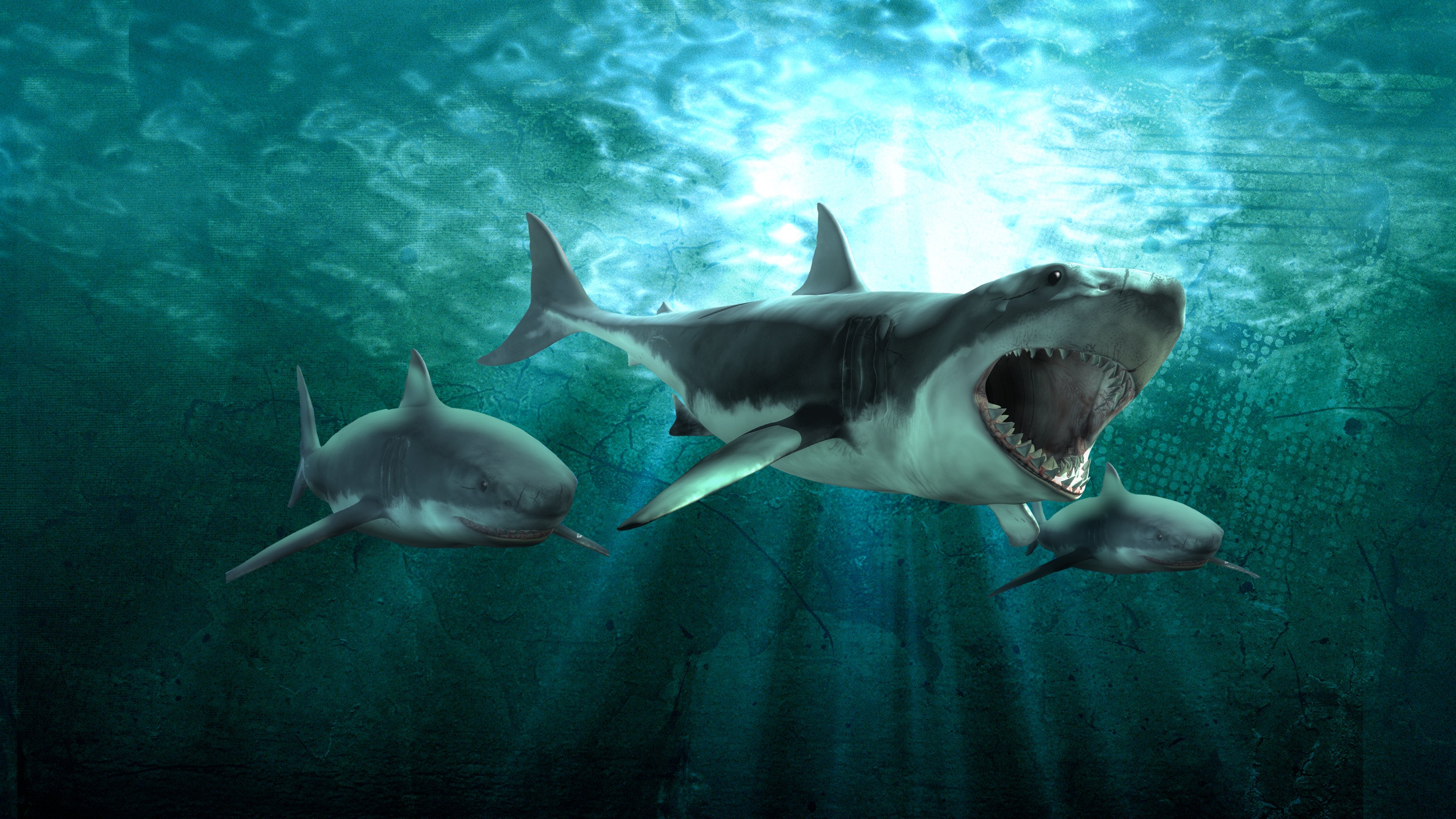 Shark Queens Background