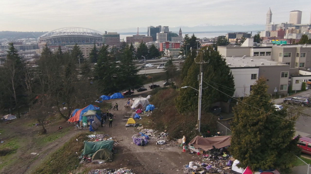 Seattle is Dying Background