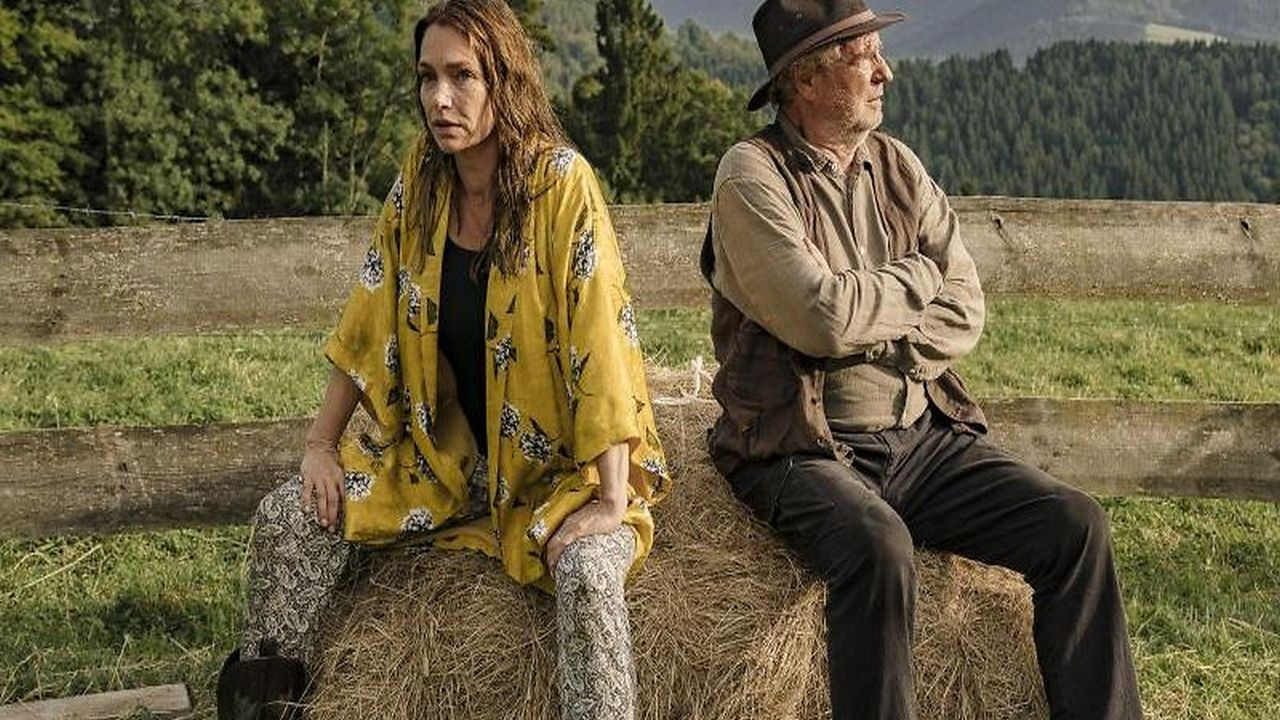 Zimmer mit Stall - Ab in die Berge Background