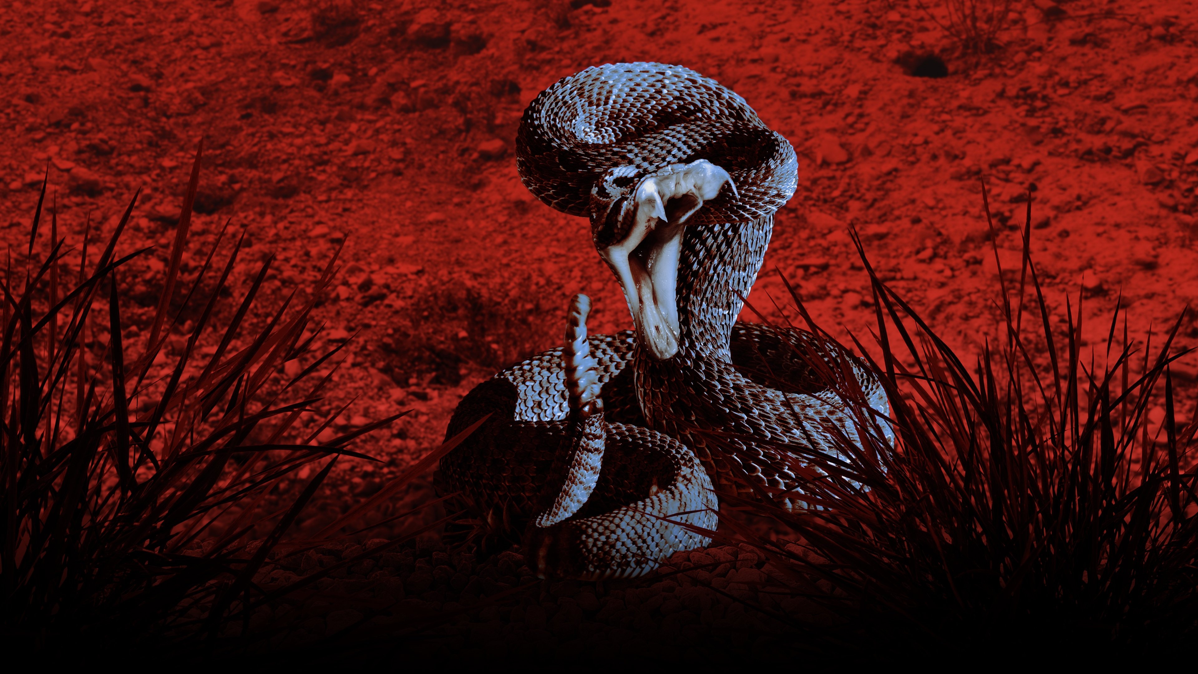 Something Bit Me! Background