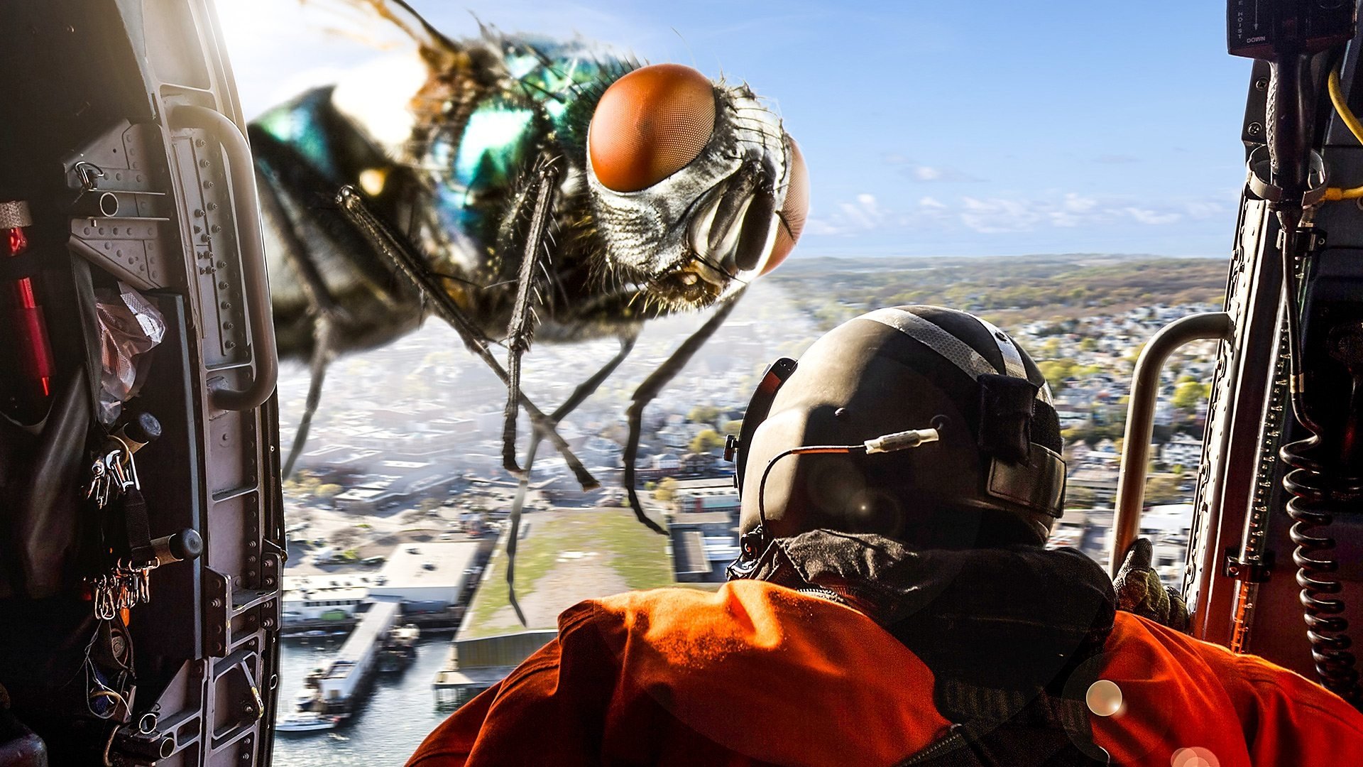 Size Matters Background