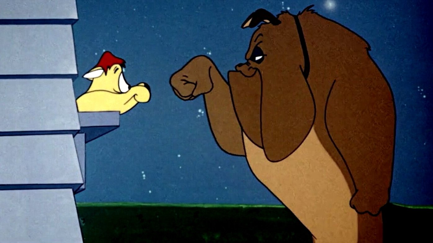 Feline Frame-Up Background