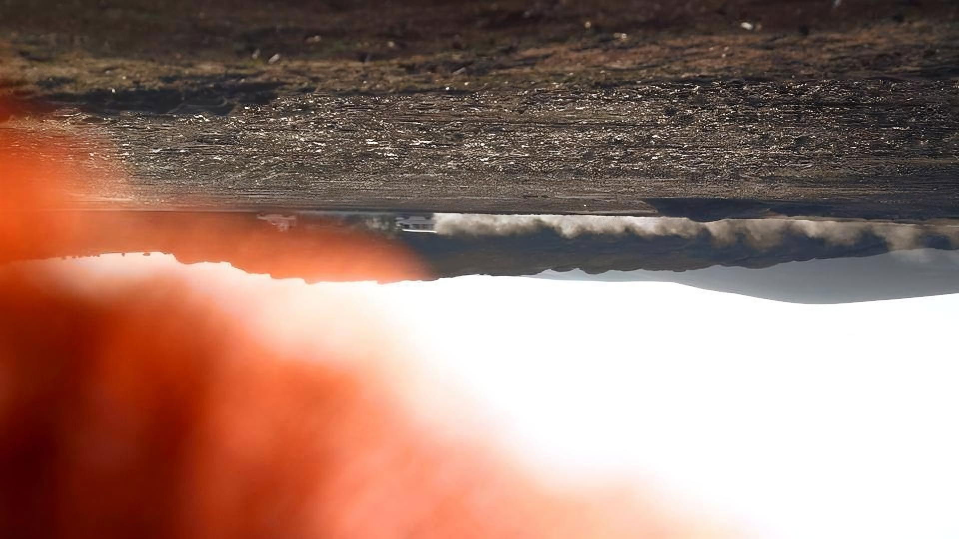 Ants Apartment Background