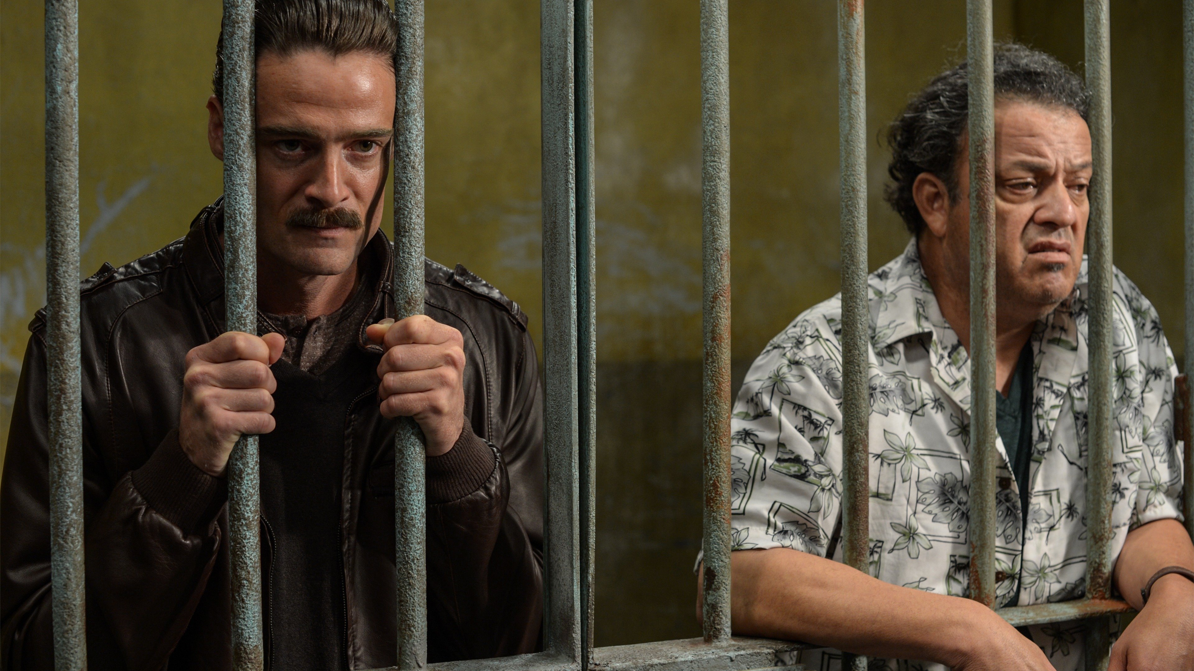 Ruta Madre Background